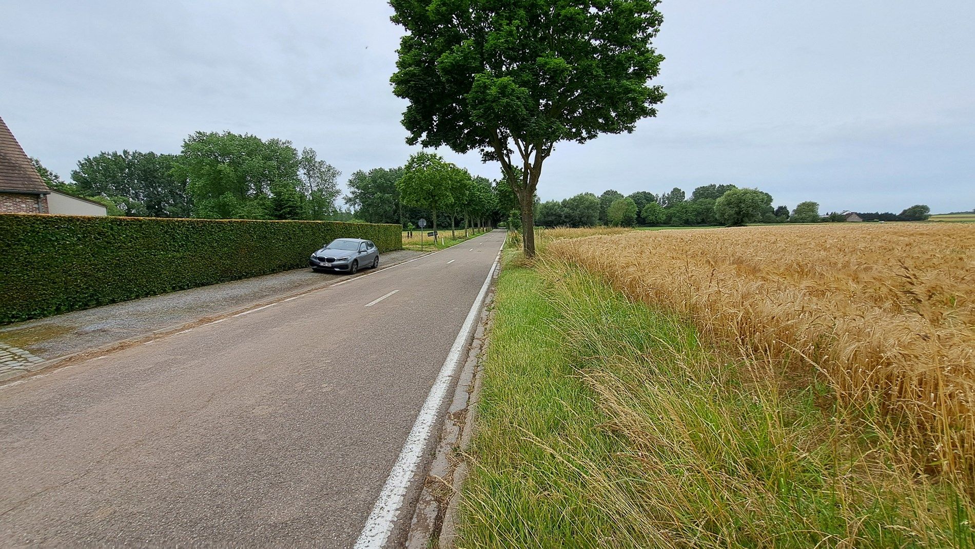 Prachtige bouwgrond voor HOB met een oppervlakte van 14a 20ca foto 3