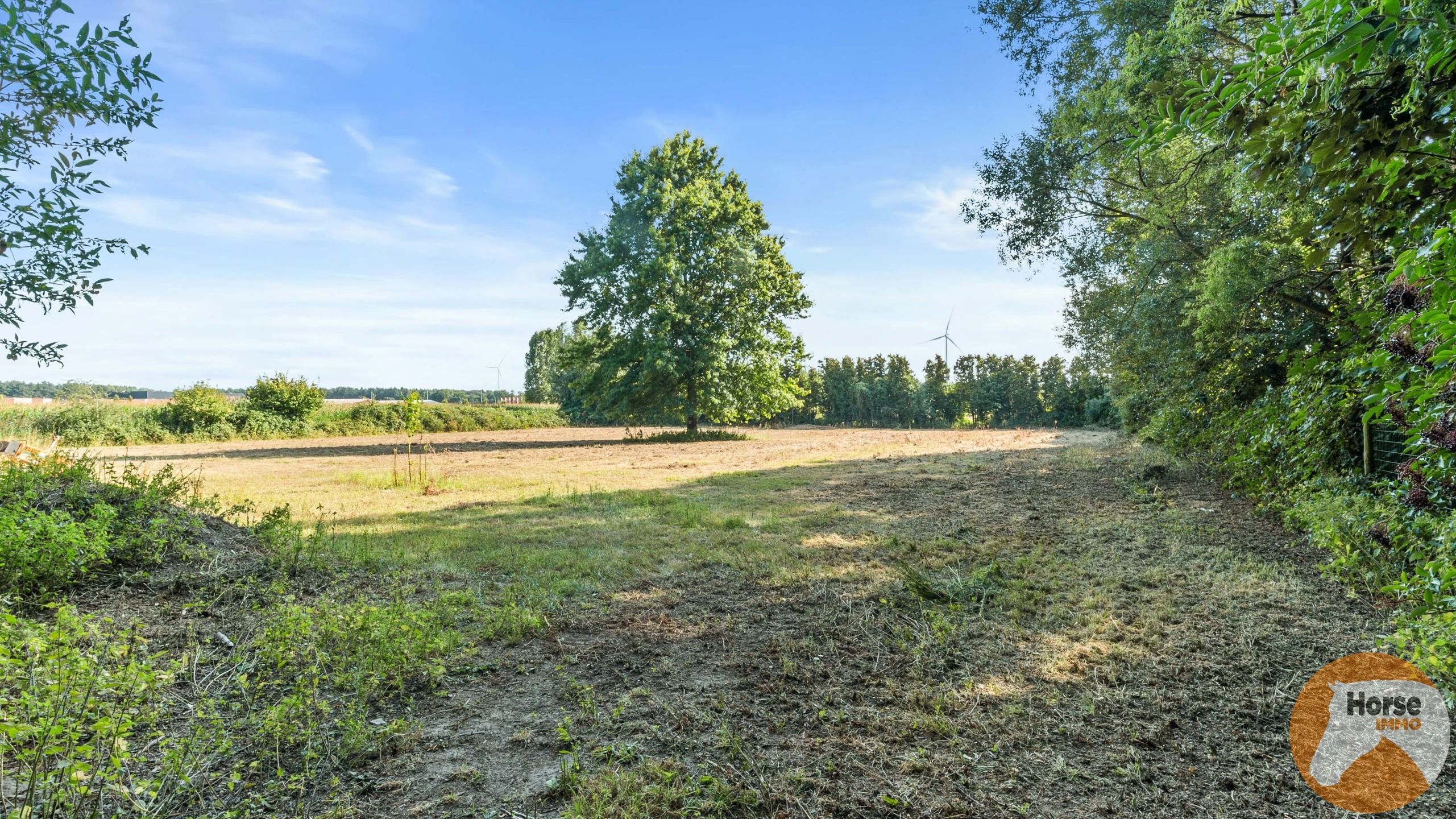 ZELZATE - Landhuis met bijgebouw, zwembad en paardenstallen foto 20