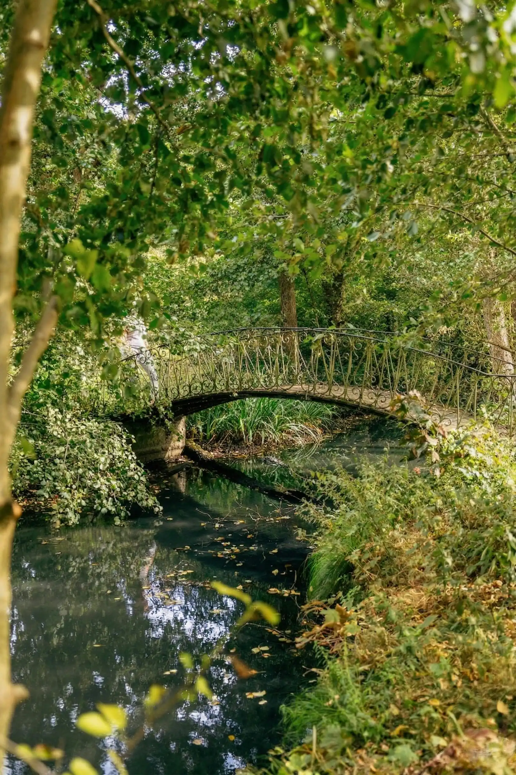 Uniek historisch kasteel op 9 hectare te koop in Geluveld foto 25