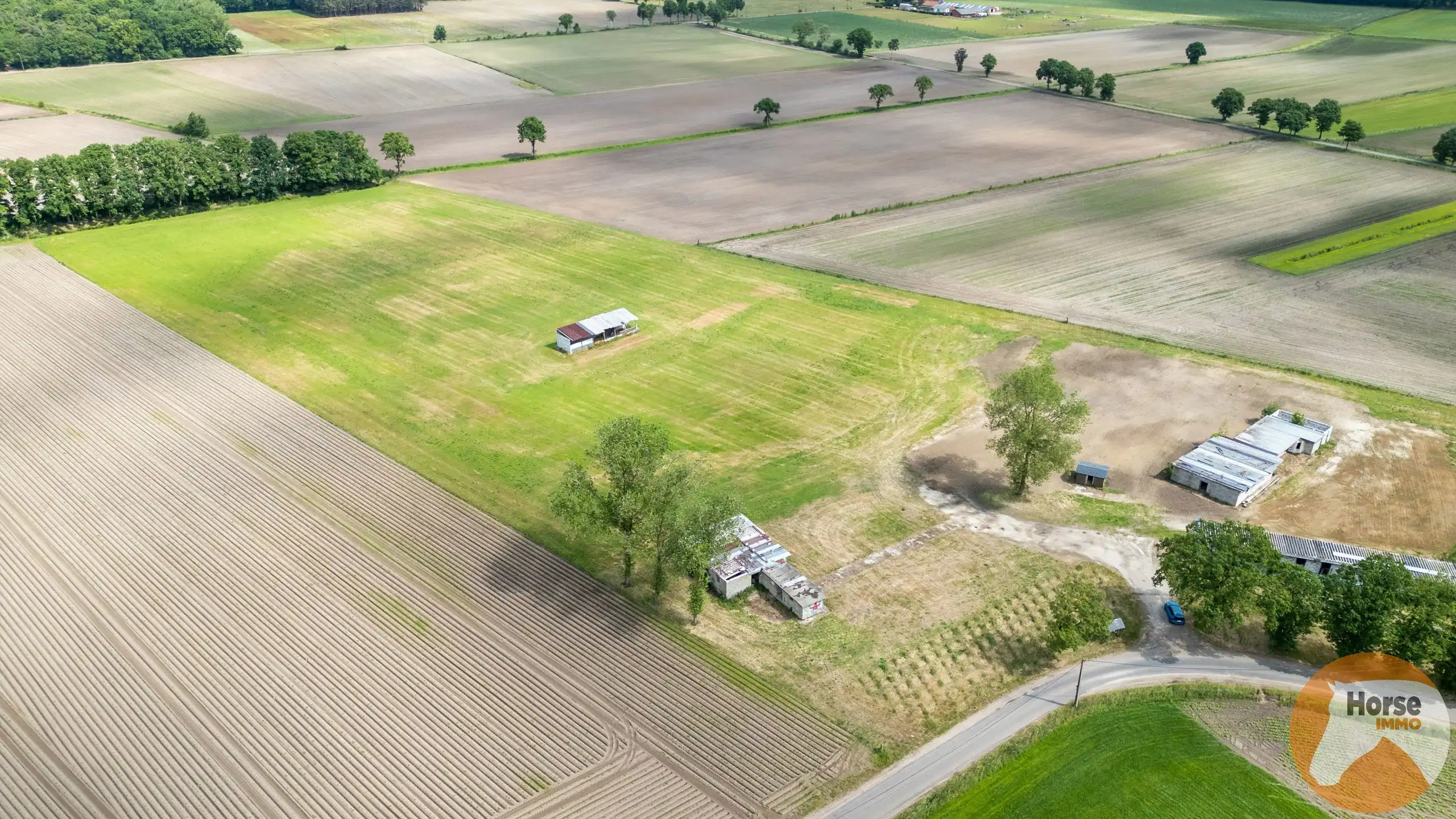 BOCHOLT - Weide met stalgebouwen op +/- 4ha35a foto 7