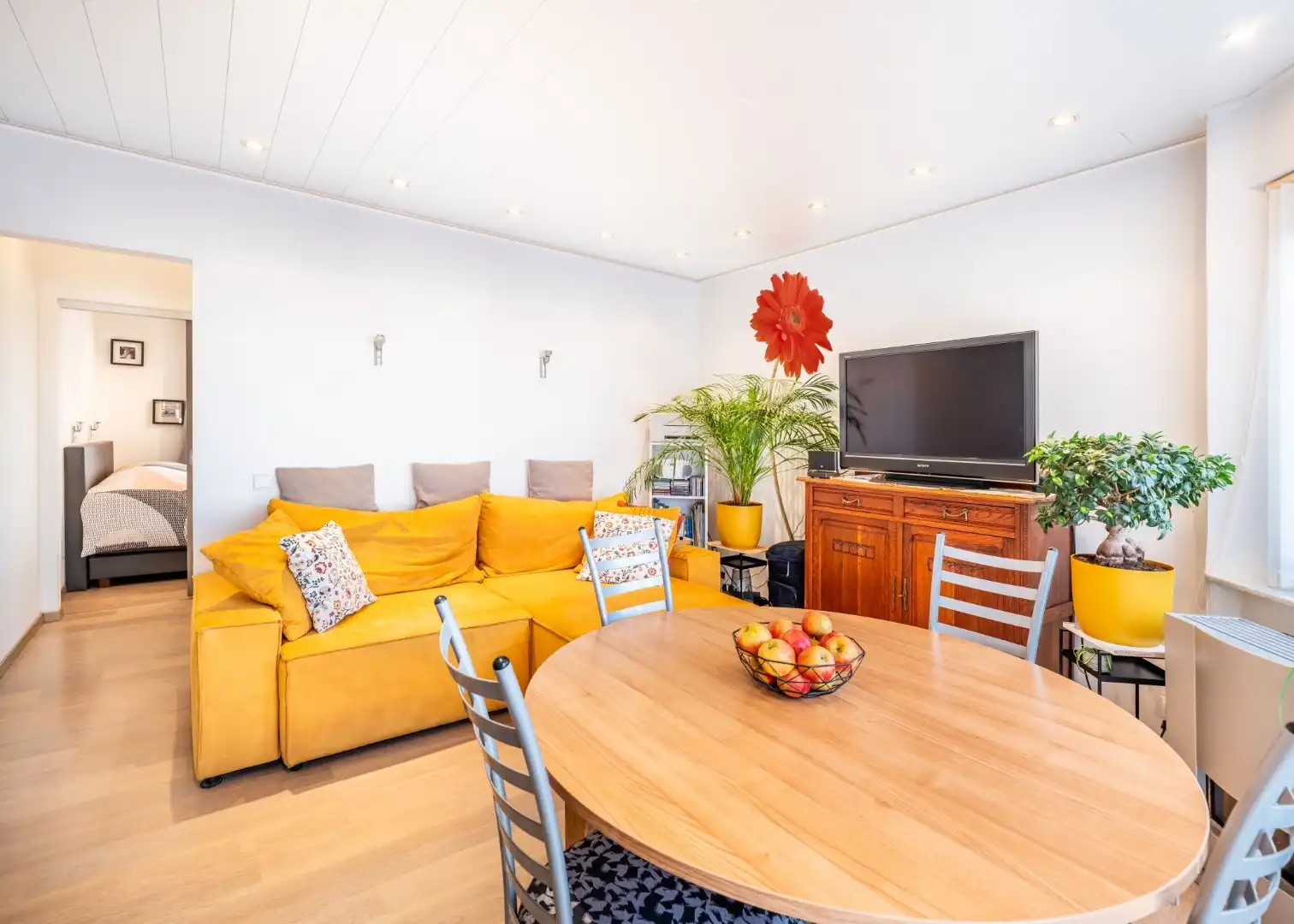 Porto Rico - 04.03 foto 11