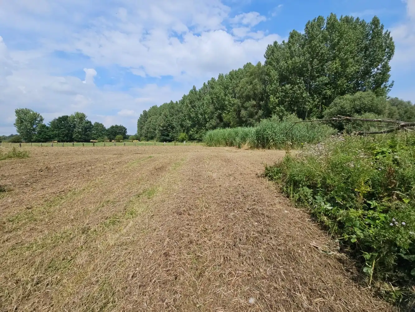 Prachtig gelegen, verder te vernieuwen landgebouw (omg. Congoberg) foto 14