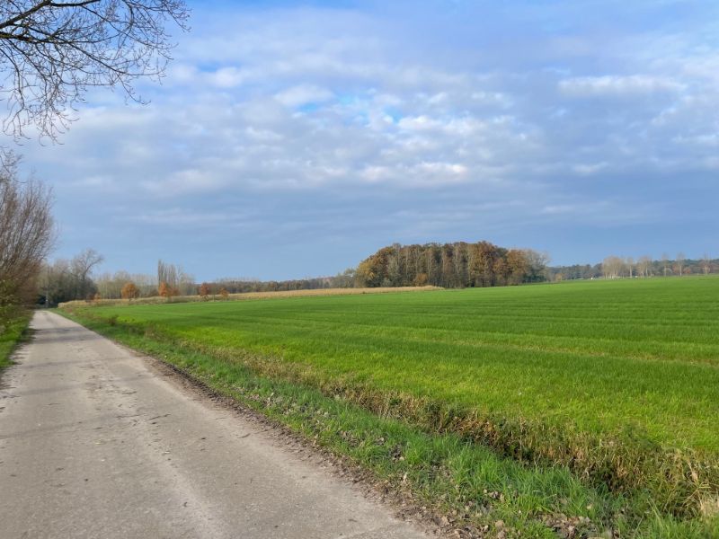 Mooi gelegen perceel landbouwgrond 9800 m² foto 3