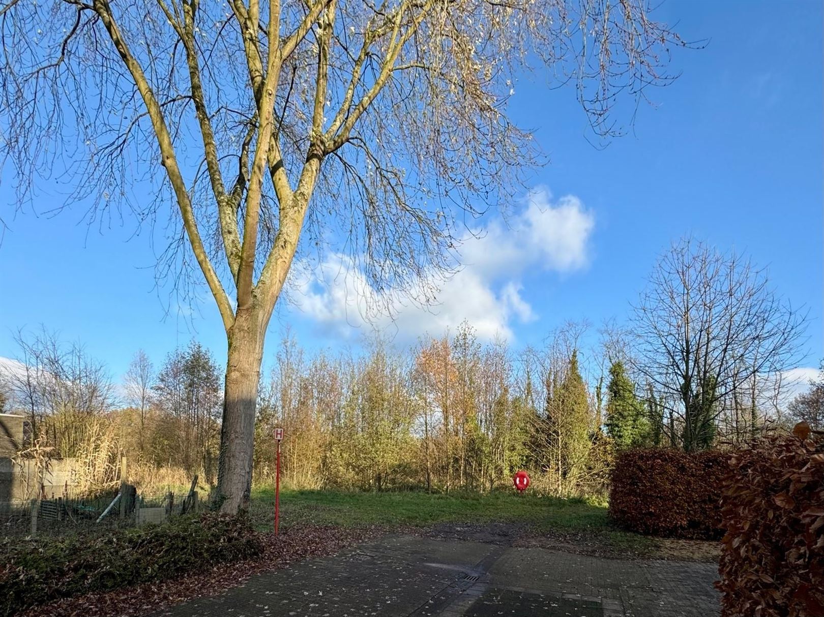 Half open bouwgrond in natuuromgeving foto 10