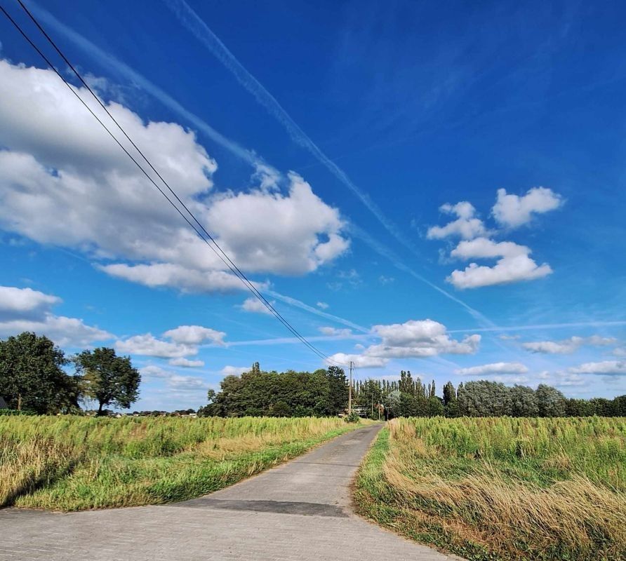 Afzonderlijk gelegen hoeve te koop op 3,66 ha te Zedelgem - Veldegem foto 3