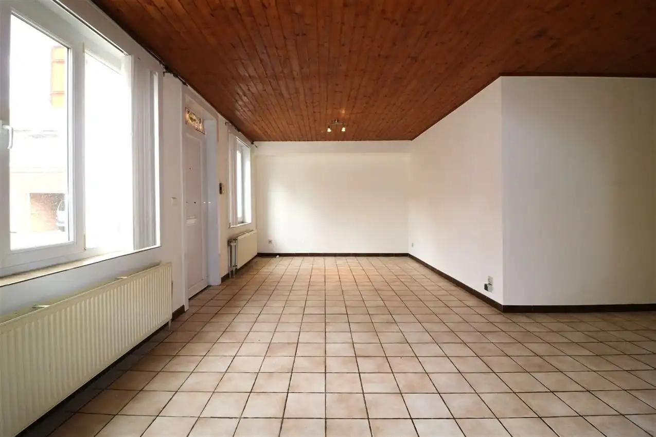 charmant, ruim, mogelijkheid beroep of kangoeroe foto 53