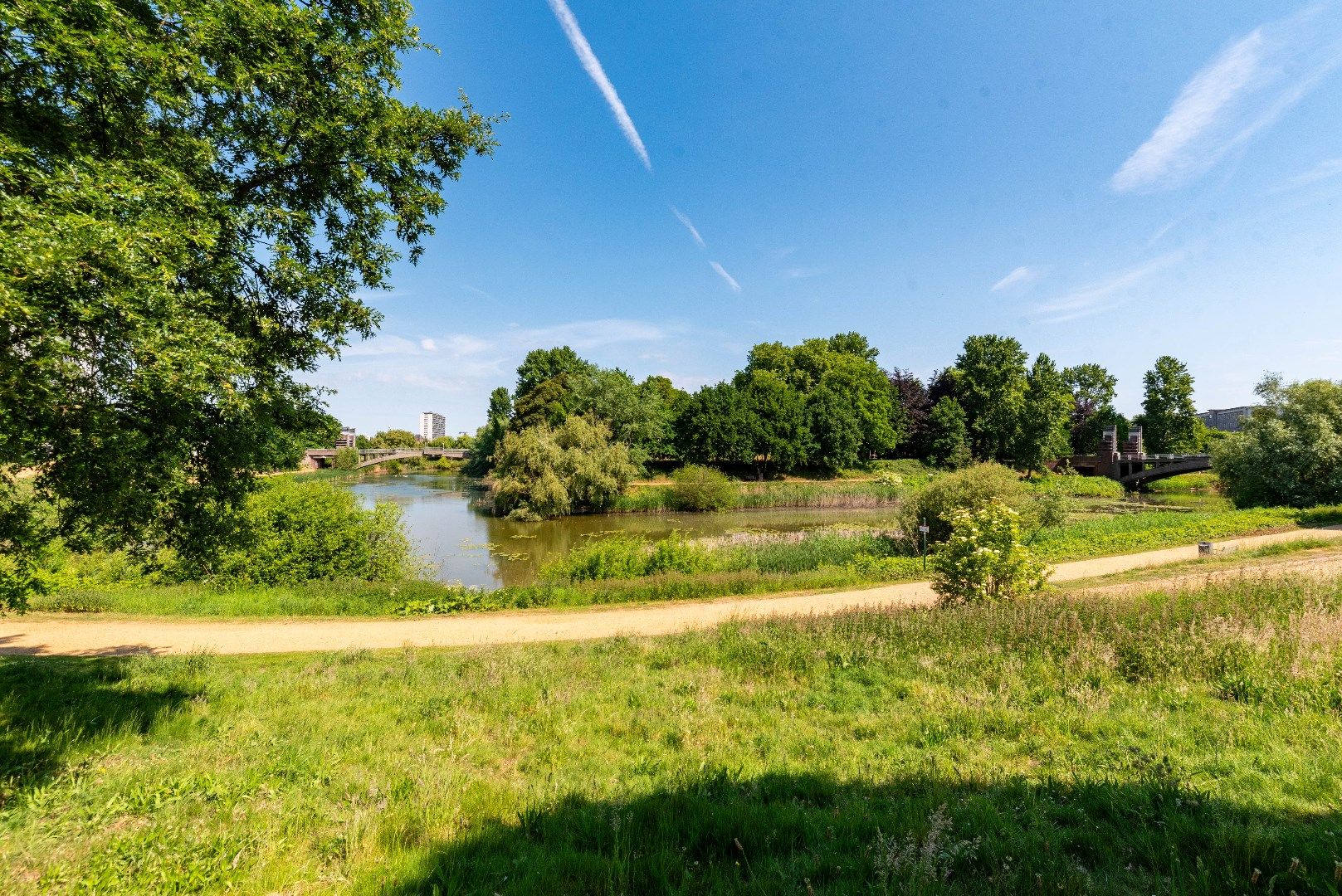 Appartement met uitzicht op 38 kleurrijke papegaaien! foto 19