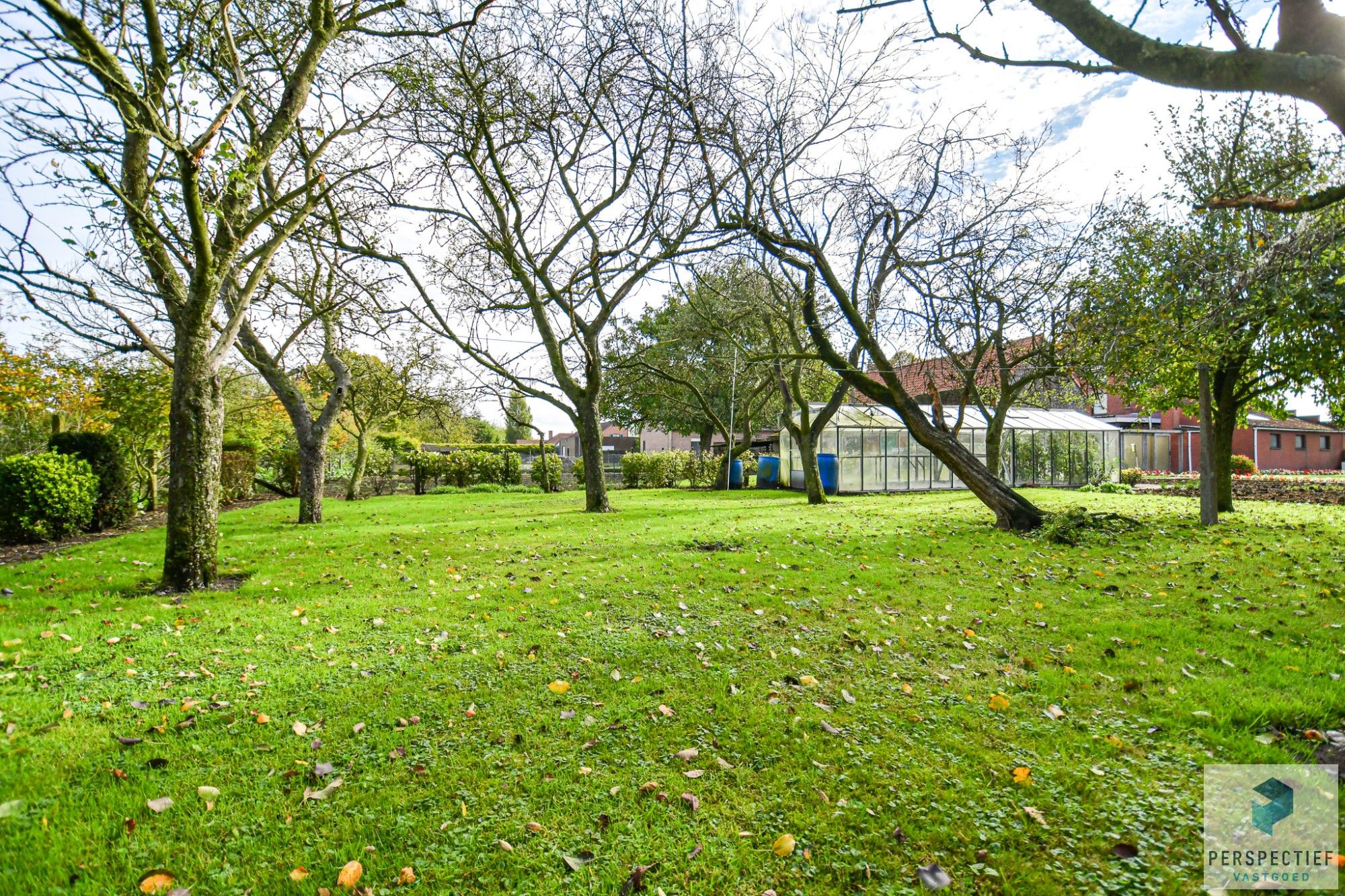 LANDELIJK GELEGEN WONING met SCHUUR  - BOOMGAARD - TUIN & MOESTUIN op 2138 m² foto 32