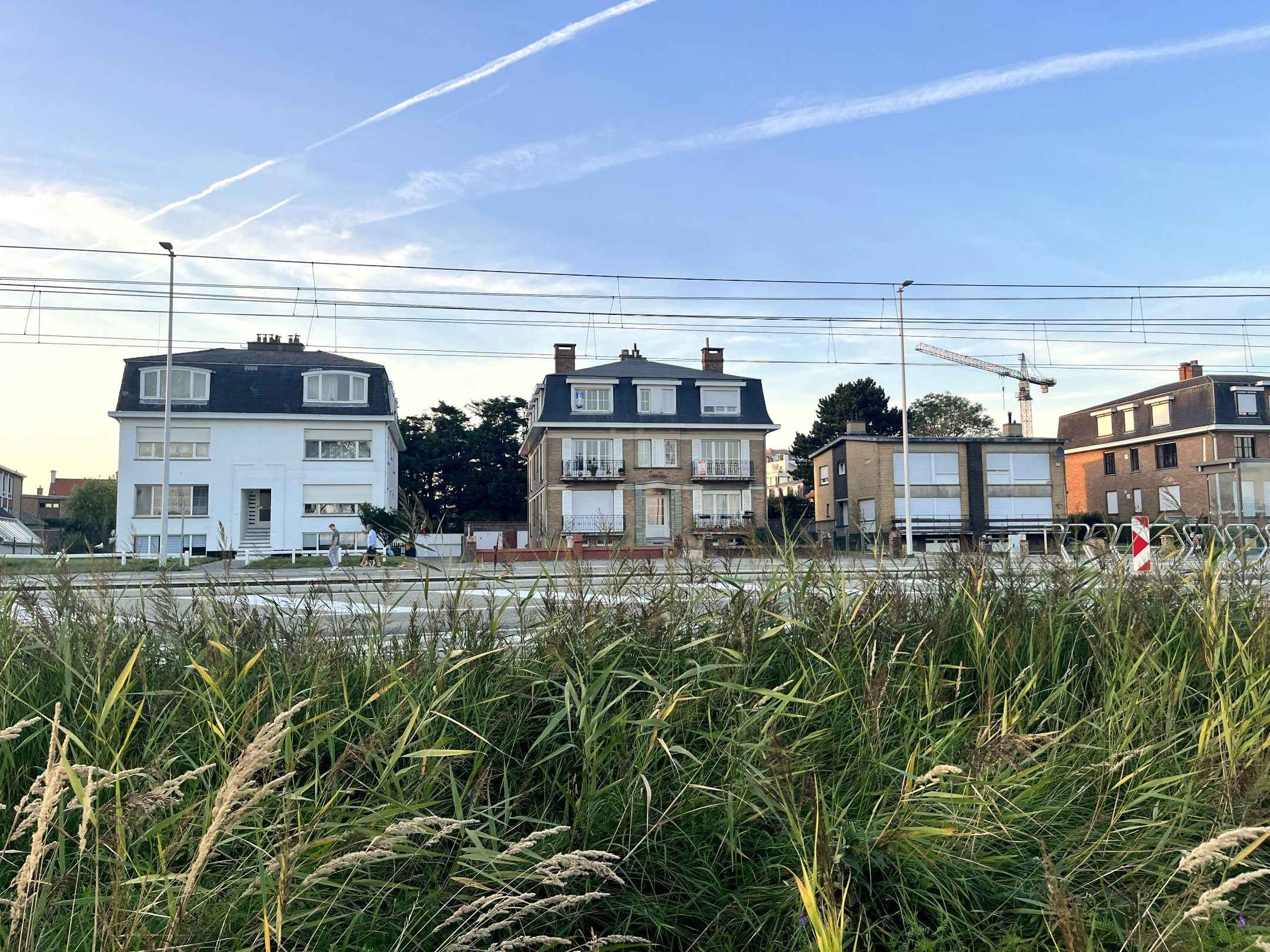 ()=>{if(producerUpdateValueVersion(node),producerAccessed(node),node.value===ERRORED)throw node.error;return node.value} 8380 Zeebrugge