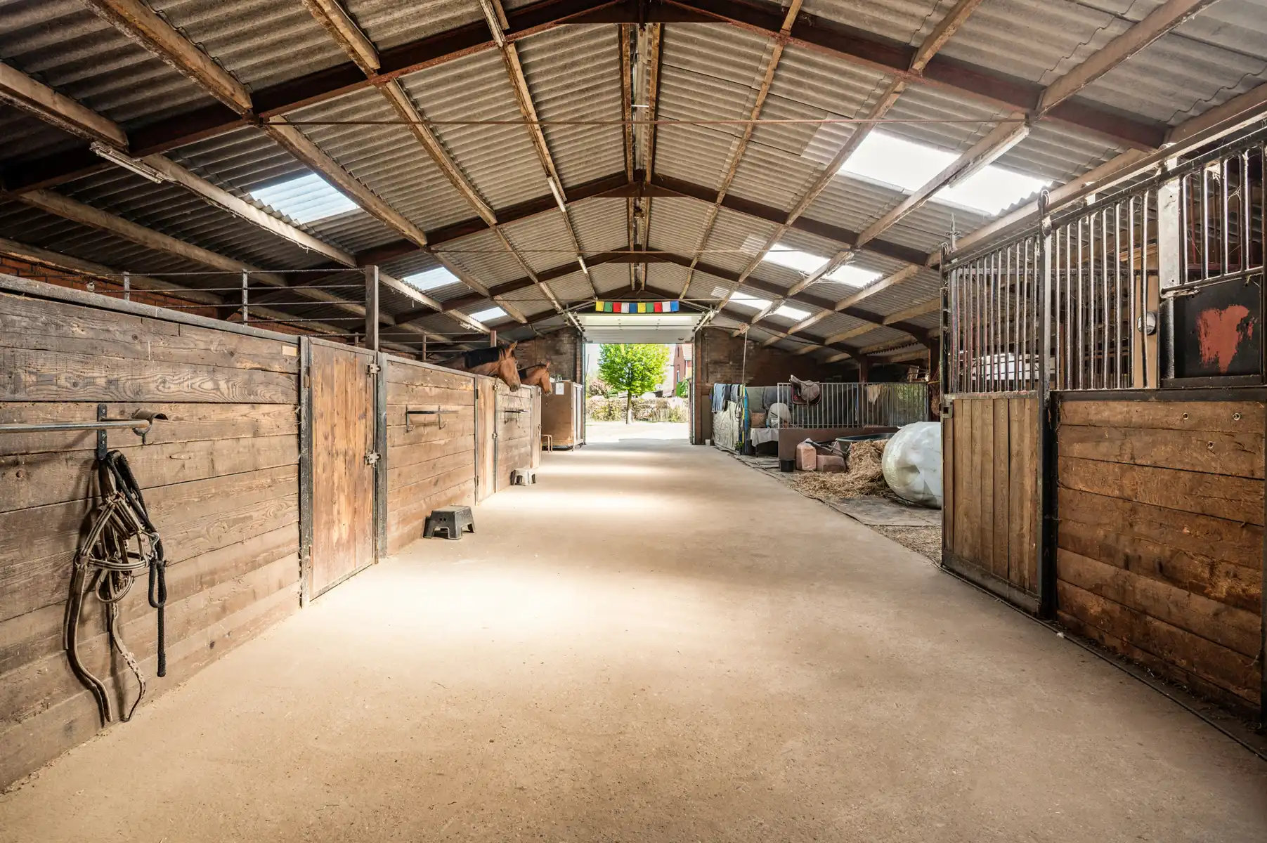 Woning met stalling/bijgebouw op 1,3Ha foto 21