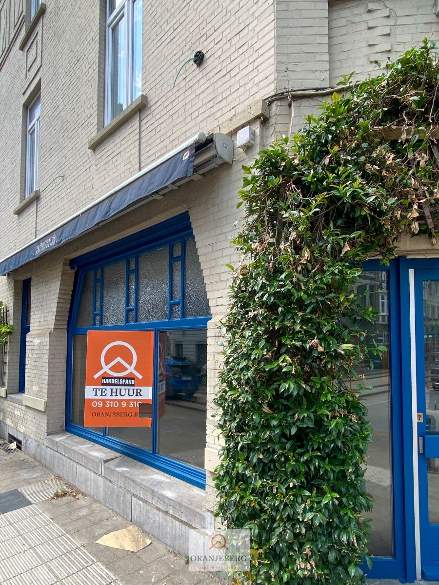 Horecavergund hoekpand met mooie visibiliteit in Papegaaistraat foto 23