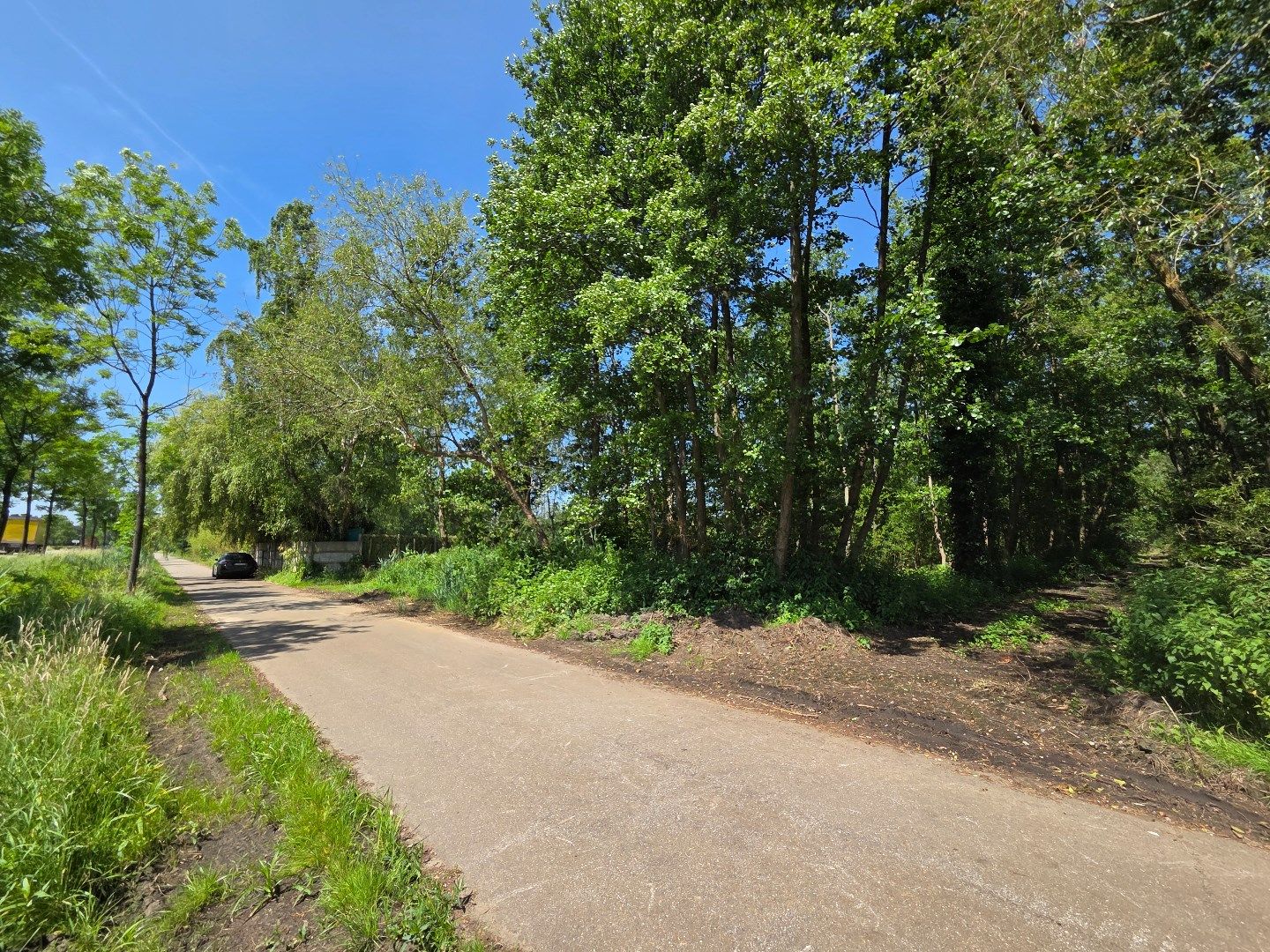 Perceel hooiland van 2.532 m² langs de Ring in Mol ! foto 2