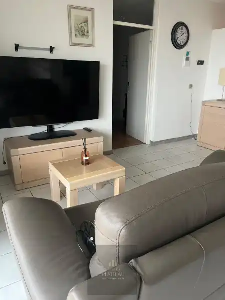 Zongericht appartement met één slaapkamer en slaaphoek. foto 11