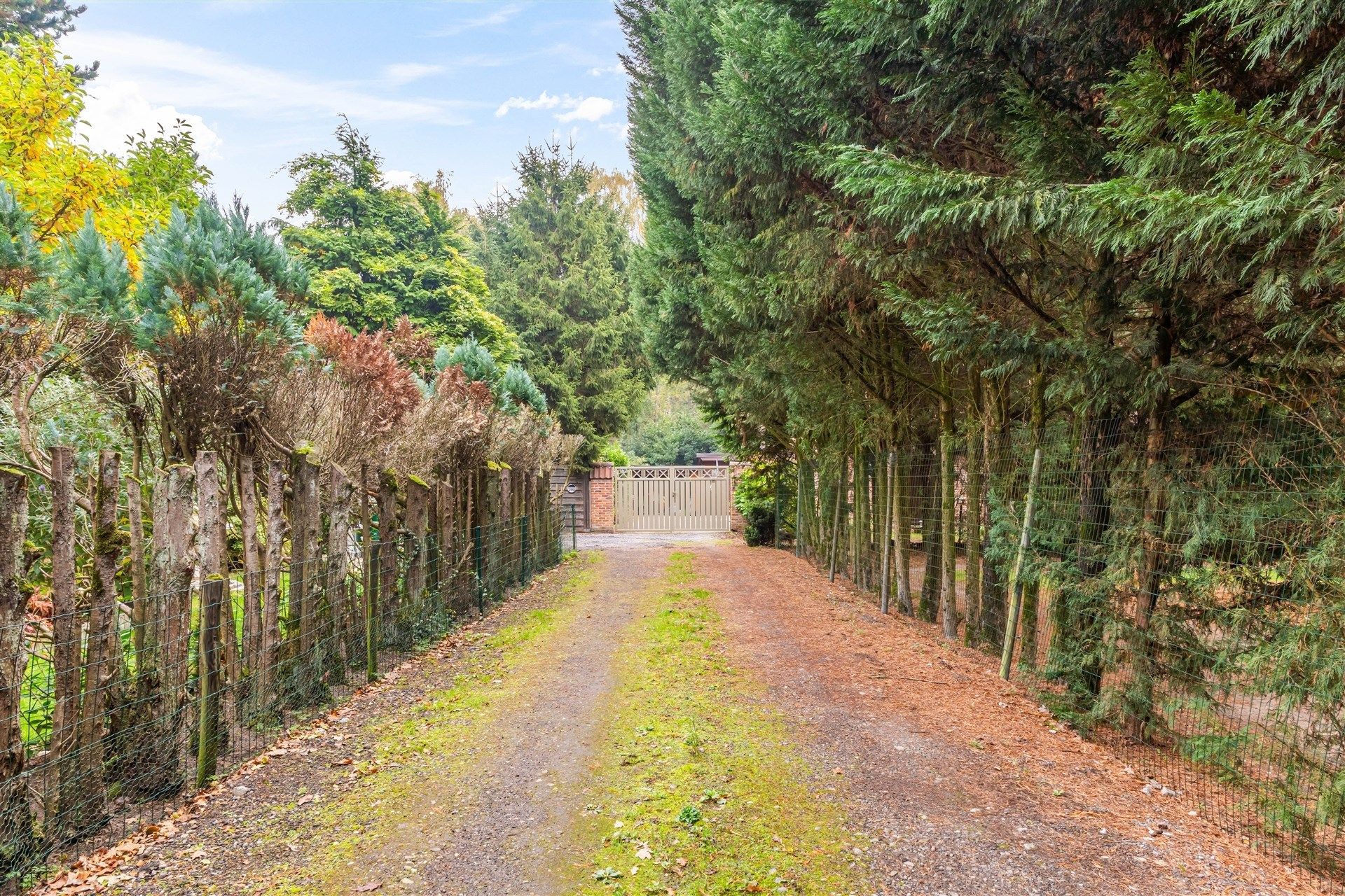 Mooie open bebouwing in groene omgeving  foto 18