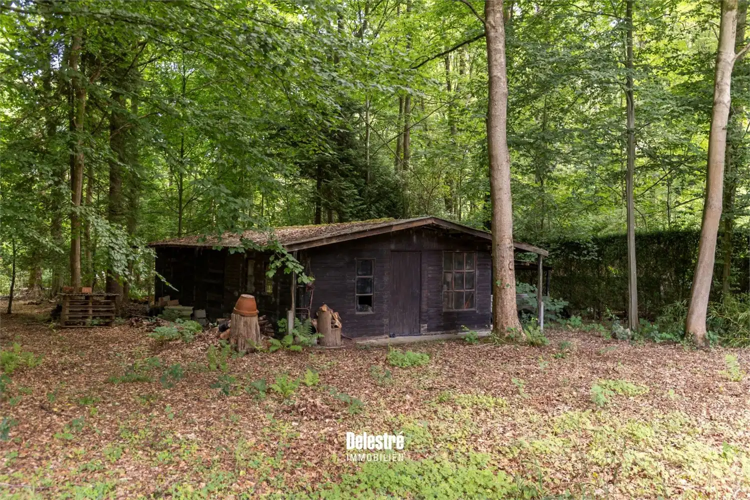 ** IN OPTIE ** TIJDLOZE VILLA OP 3.317 M2 BOIS DE STRIHOUX foto 31