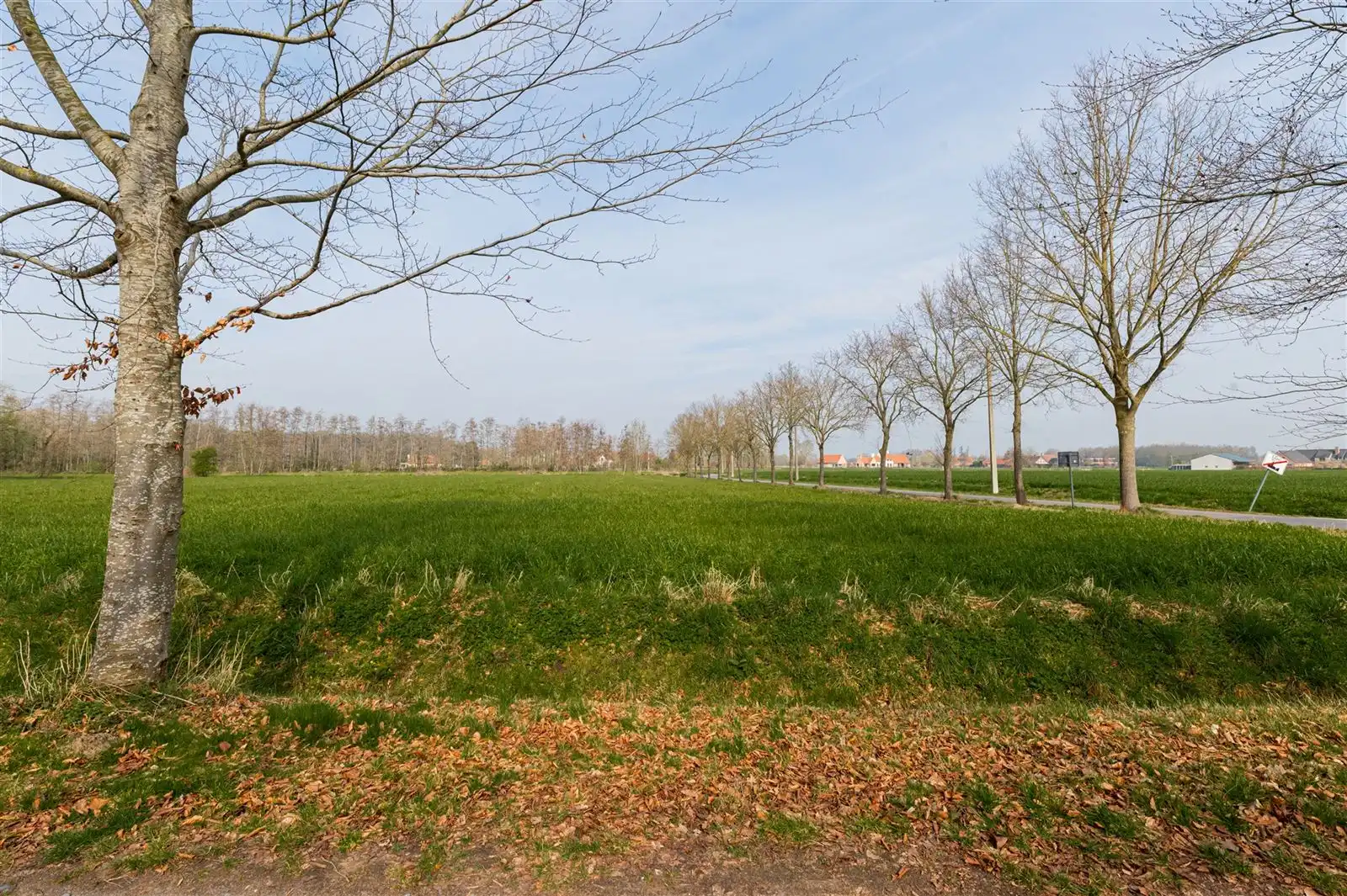 Bouwgrond voor open bebouwing met privatieve oprijlaan! foto 7