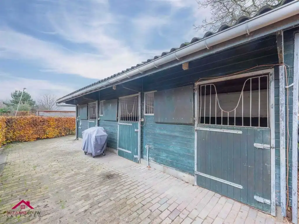 Verrassend ruime en gezellige, instapklare vrijstaande woning met paardenstal foto 9