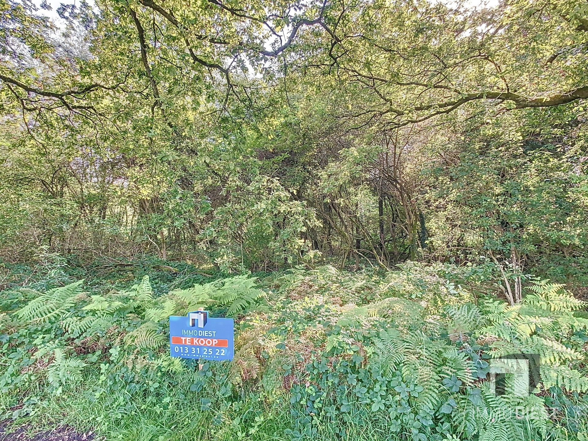 Grond met een oppervlakte van 79a 45ca - natuurgebied foto {{pictureIndex}}