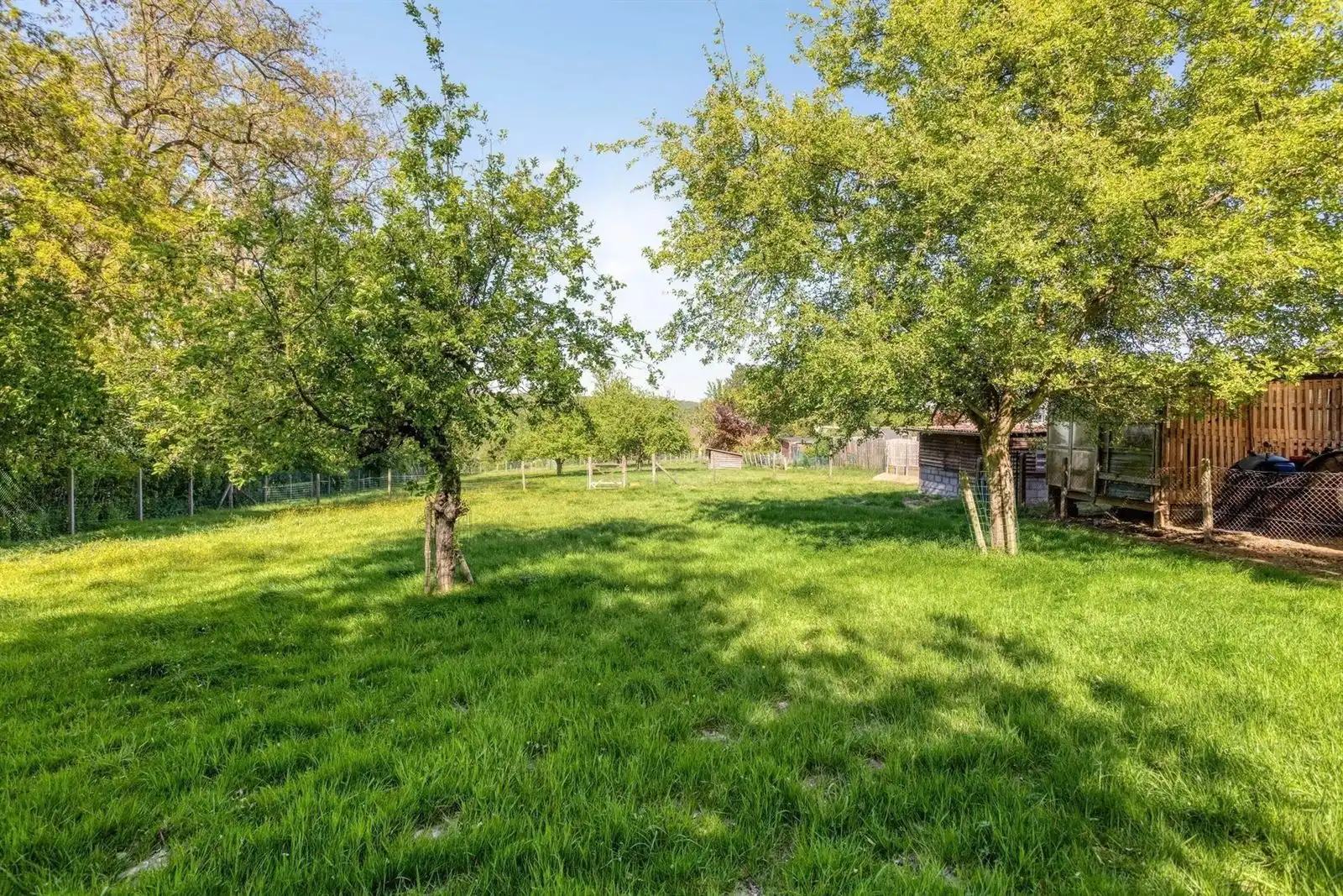 Woning + atelier + weide op een terrein van 59a79ca foto 39