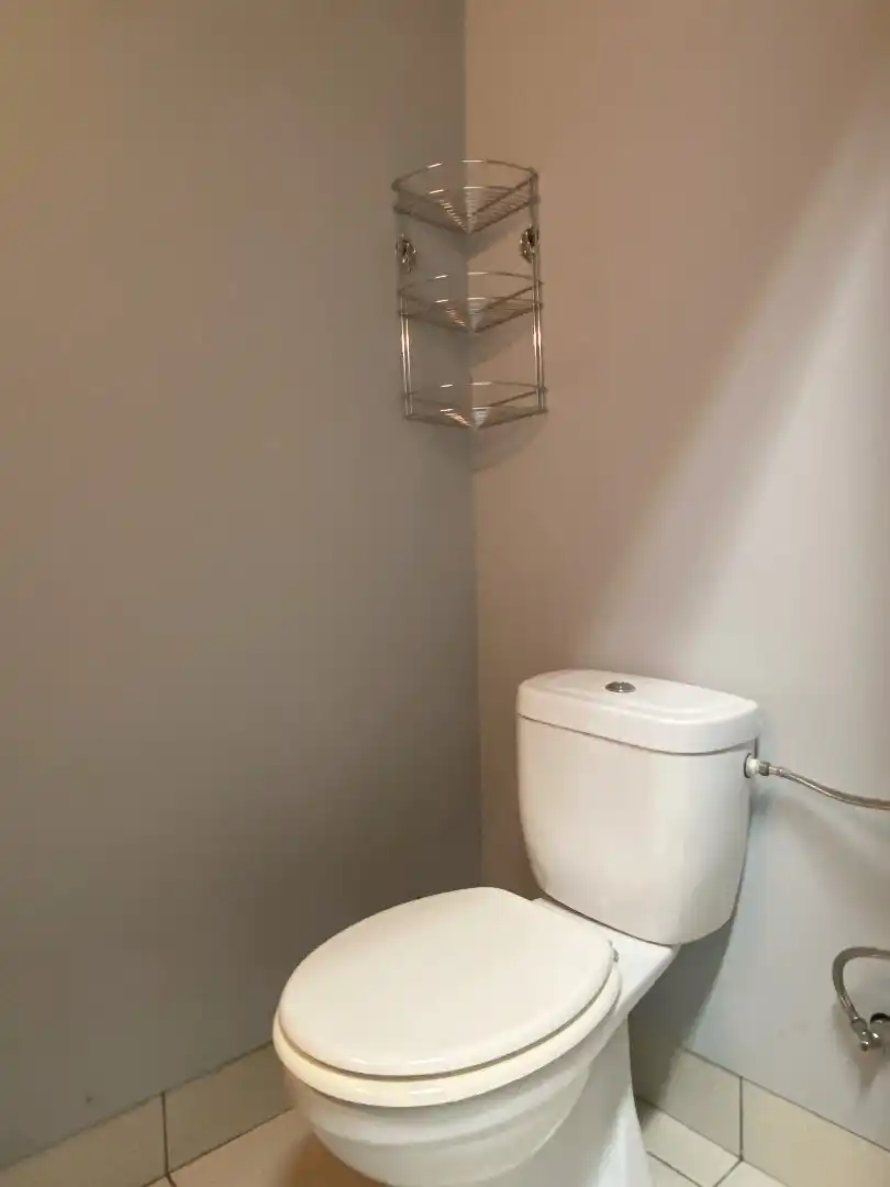 WINKELRUIMTE OP COMMERCIËLE LIGGING IN CENTRUM PITTEM foto 10