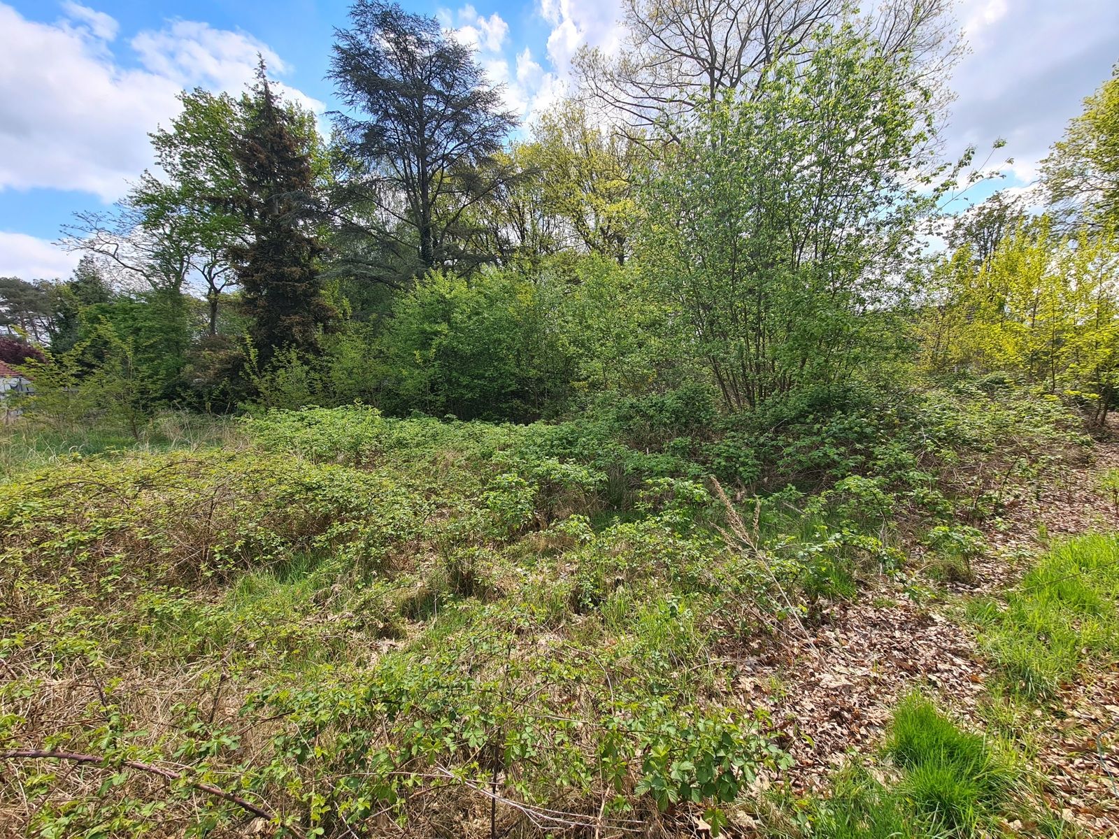Zuidgerichte bouwgrond in tweede bouwlijn foto 3