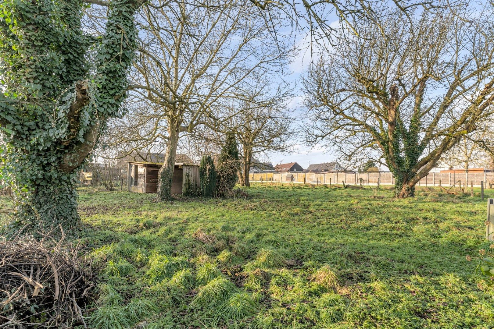 Te renoveren vrijstaande woning met zuidwest gerichte tuin en achterliggende weide op 16a 23ca foto 28