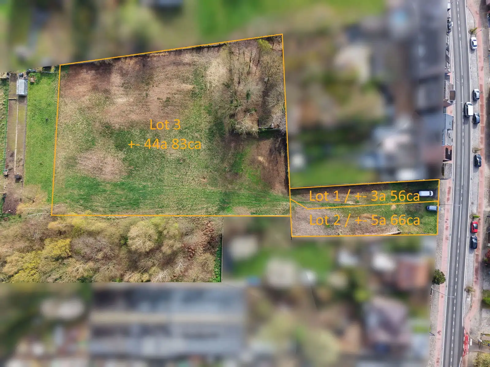 Bouwgrond + weide met diverse mogelijkheden! foto 4