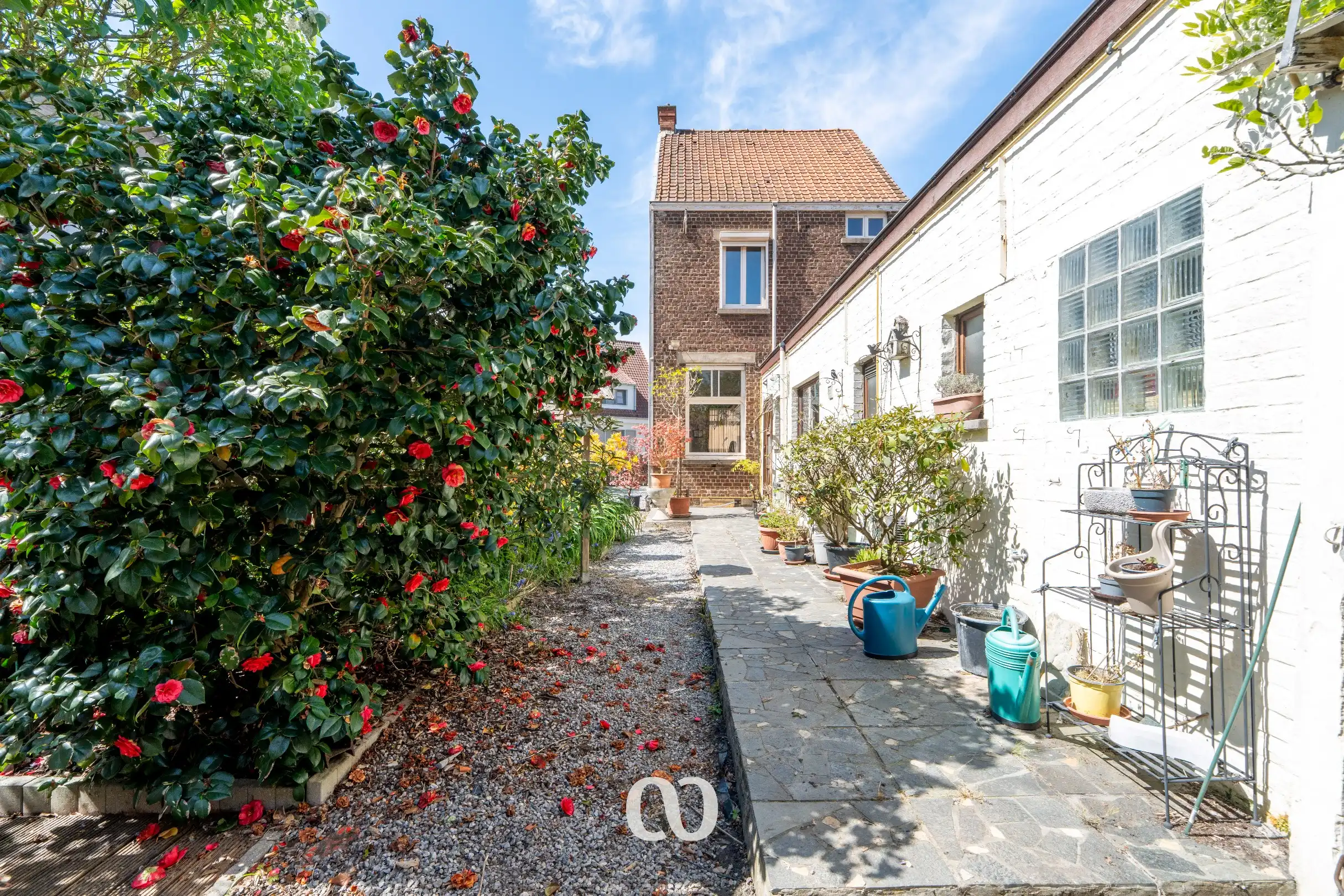 Gezellige gezinswoning met mooie tuin en garage nabij centrum Oudenaarde foto 13