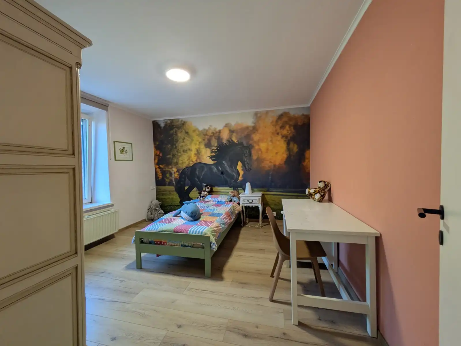 Huis te koop foto 14