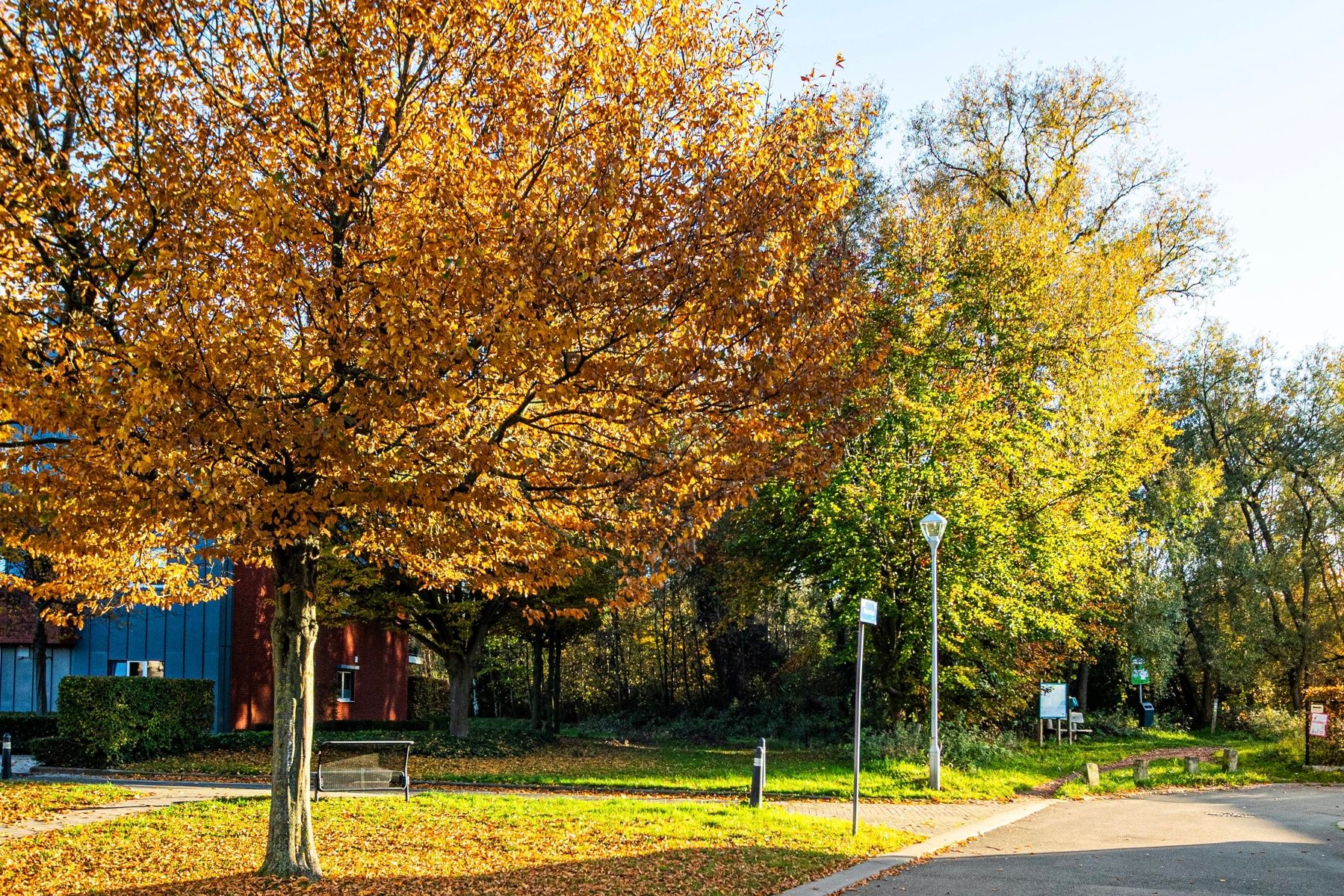 Instapklare, ruime woning met uniek groen uitzicht foto 2