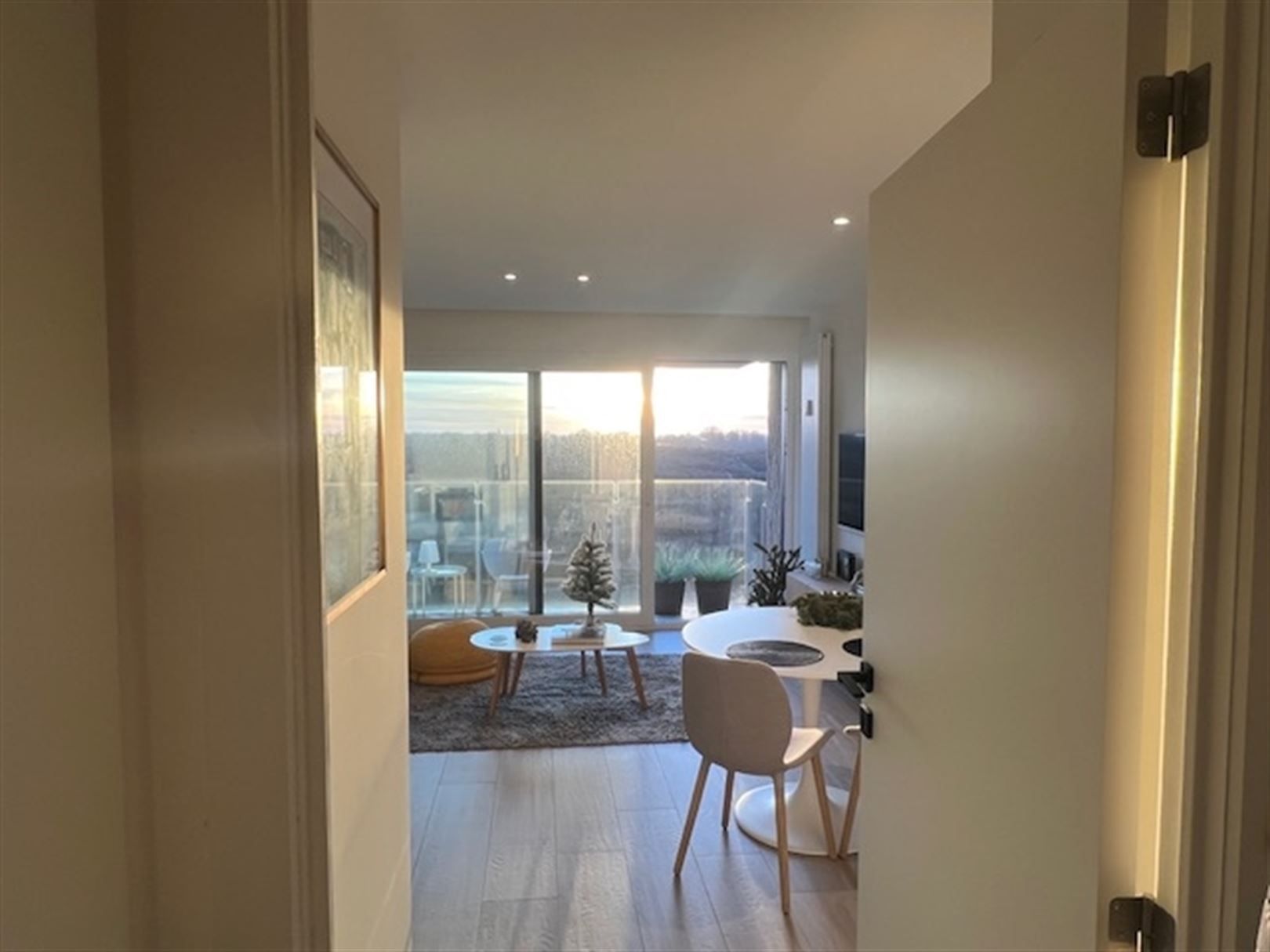 Compleet vernieuwde studio met zicht op duinen zuidgerciht foto 12