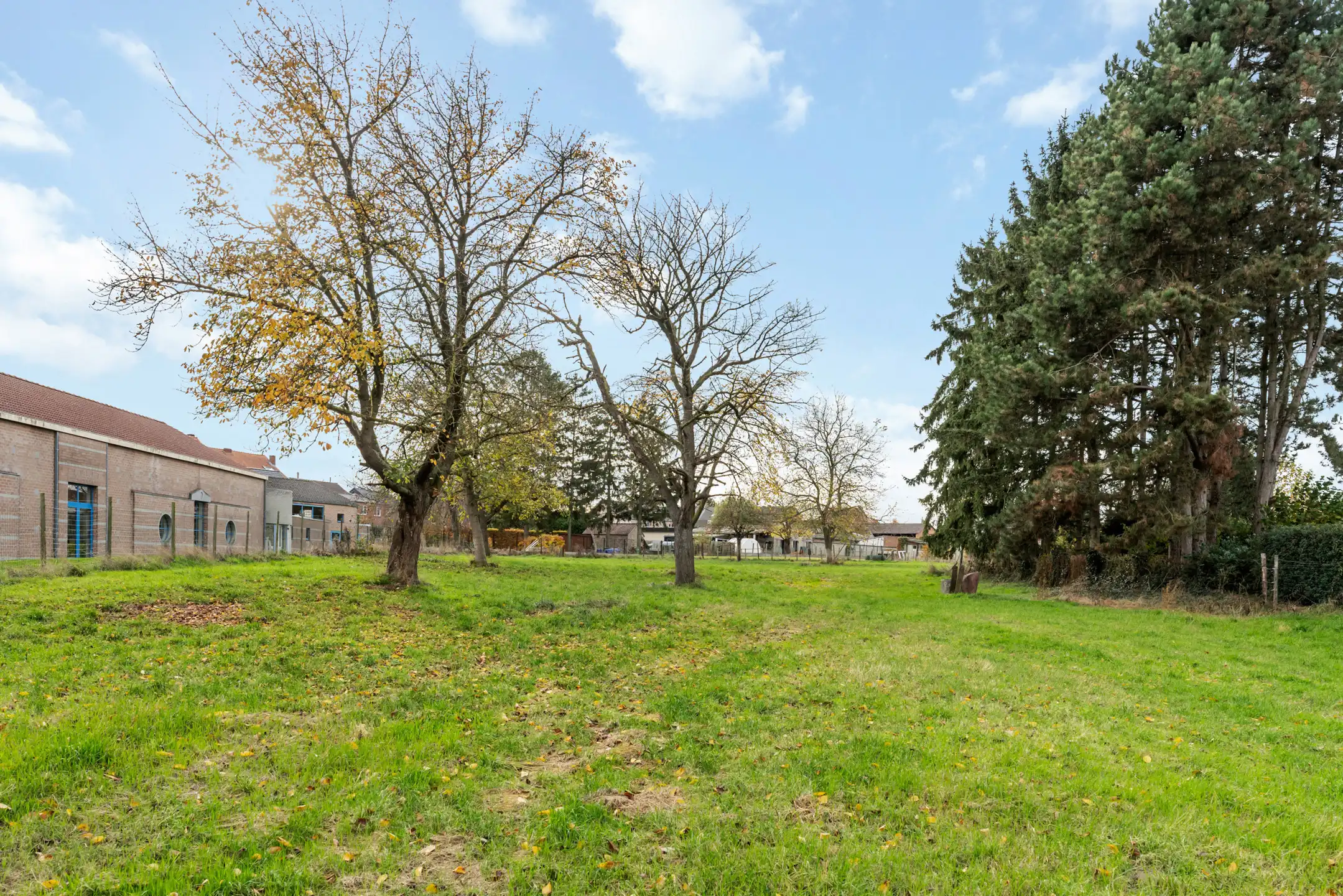 Royaal bouwperceel voor OB van 32a in Millen foto 7