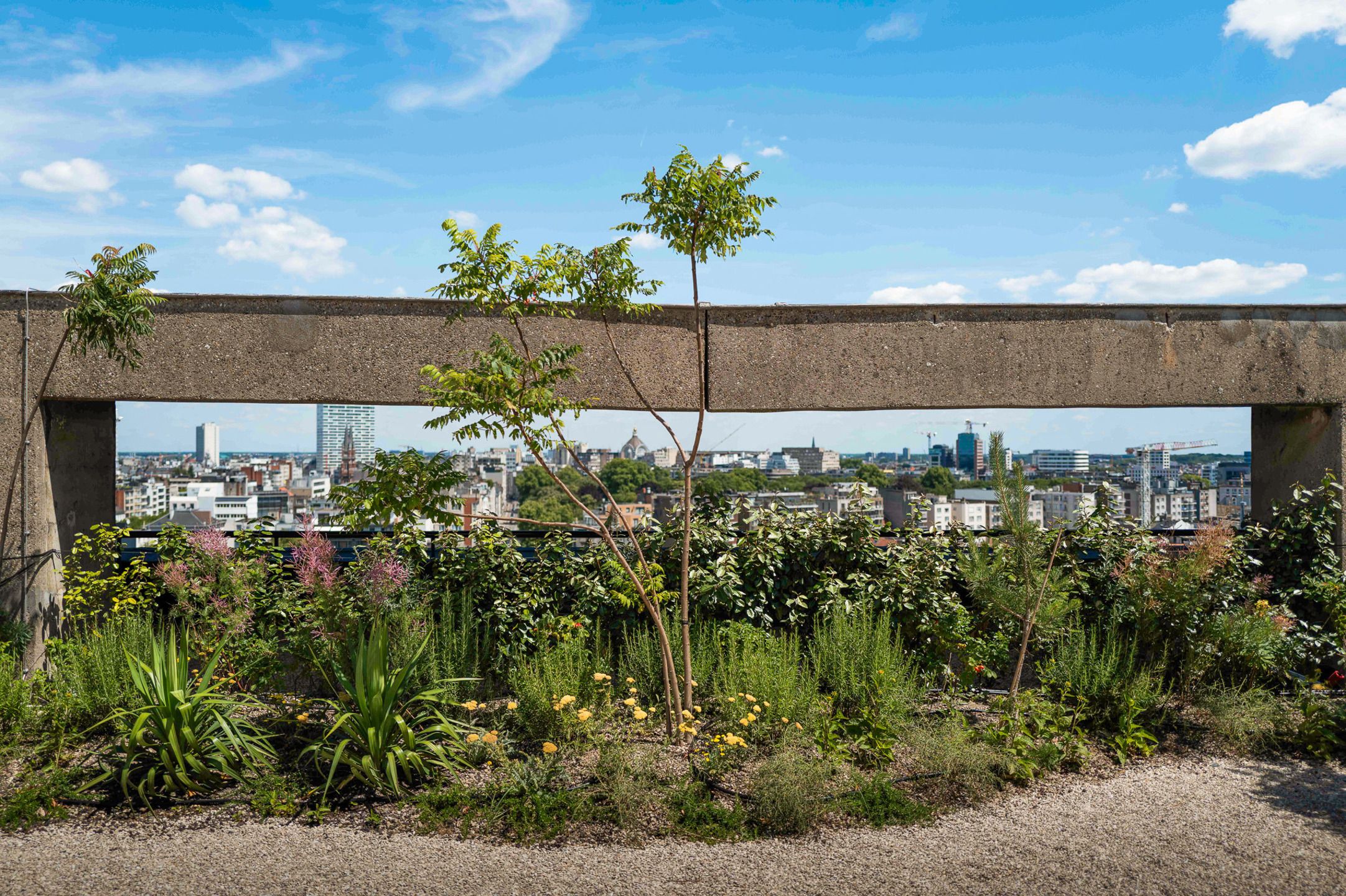 ANTWERPEN ZUID - EXCLUSIEf CO-WORKING KANTOOR  foto 30