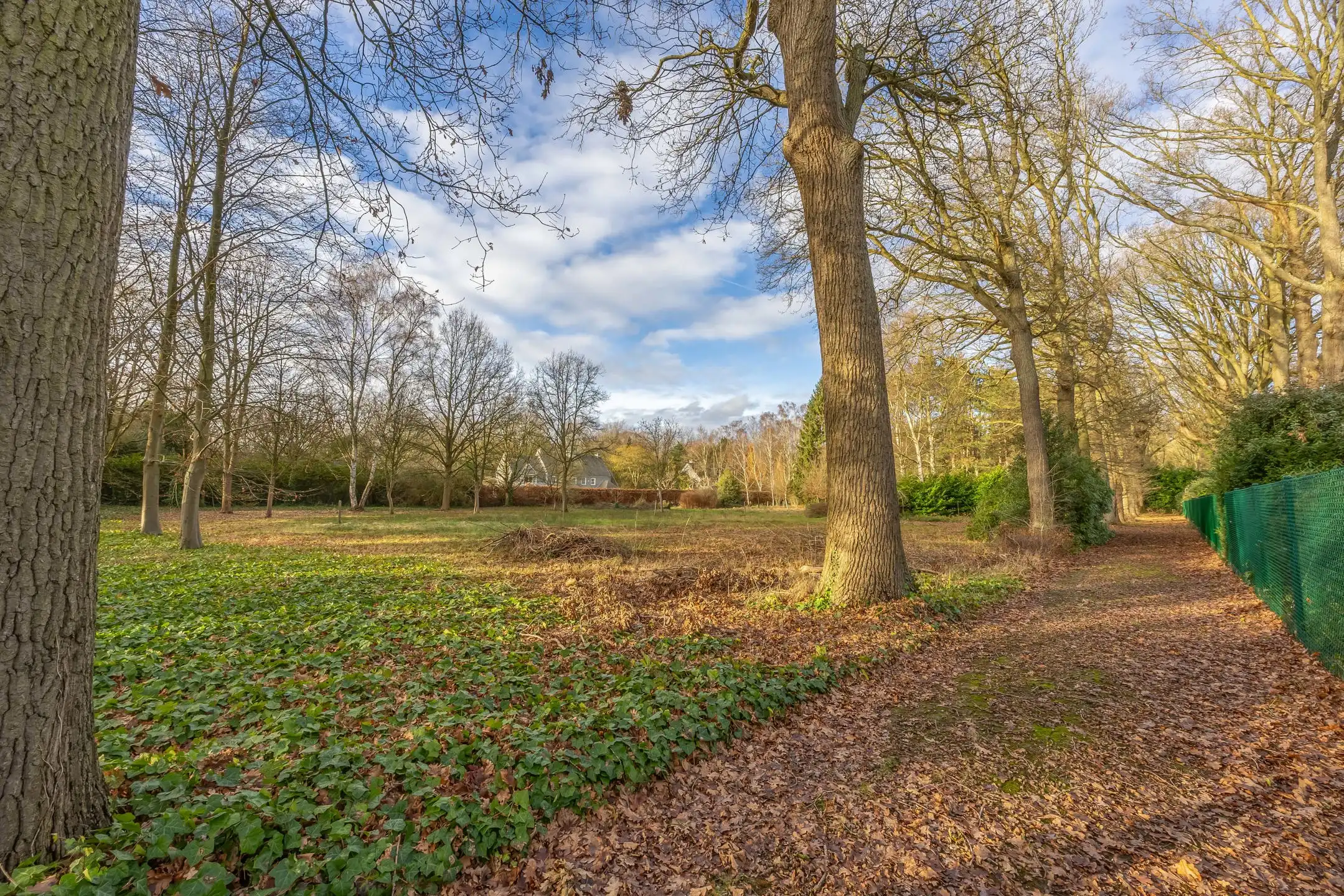 Centraal gelegen villagrond van 3.010 m2  foto 4