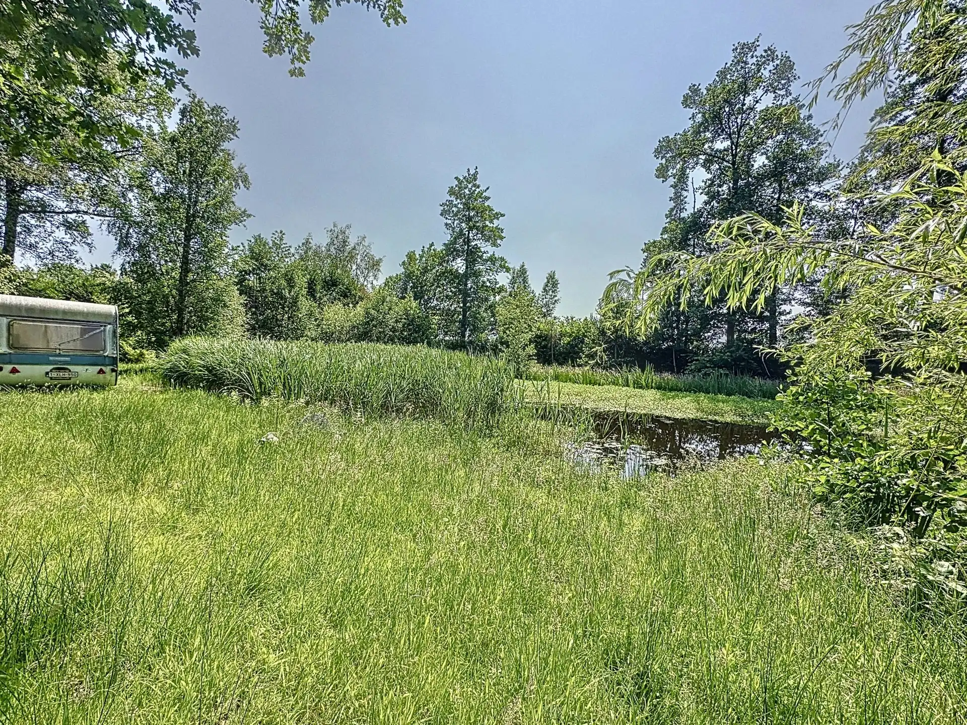 Uniek stuk recreatiegrond met vijver en bouwmogelijkheid – 2154 m². foto 4