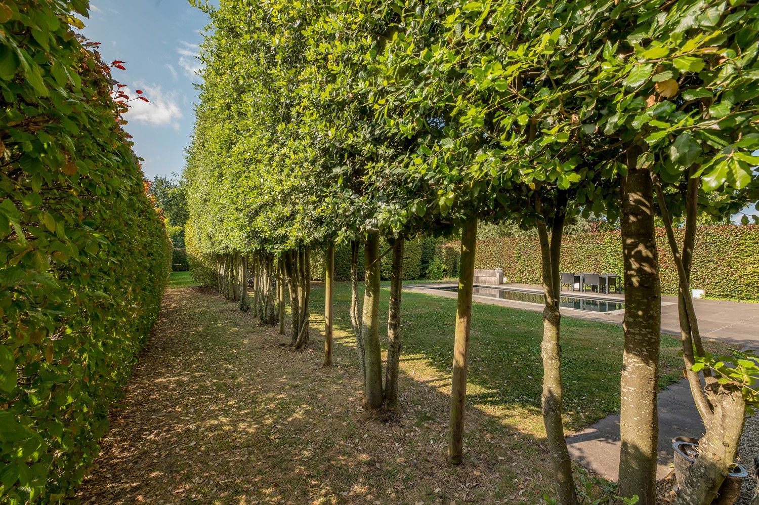 INSTAPKLARE WONING I ZWEMBAD I 4 SLPK foto 37