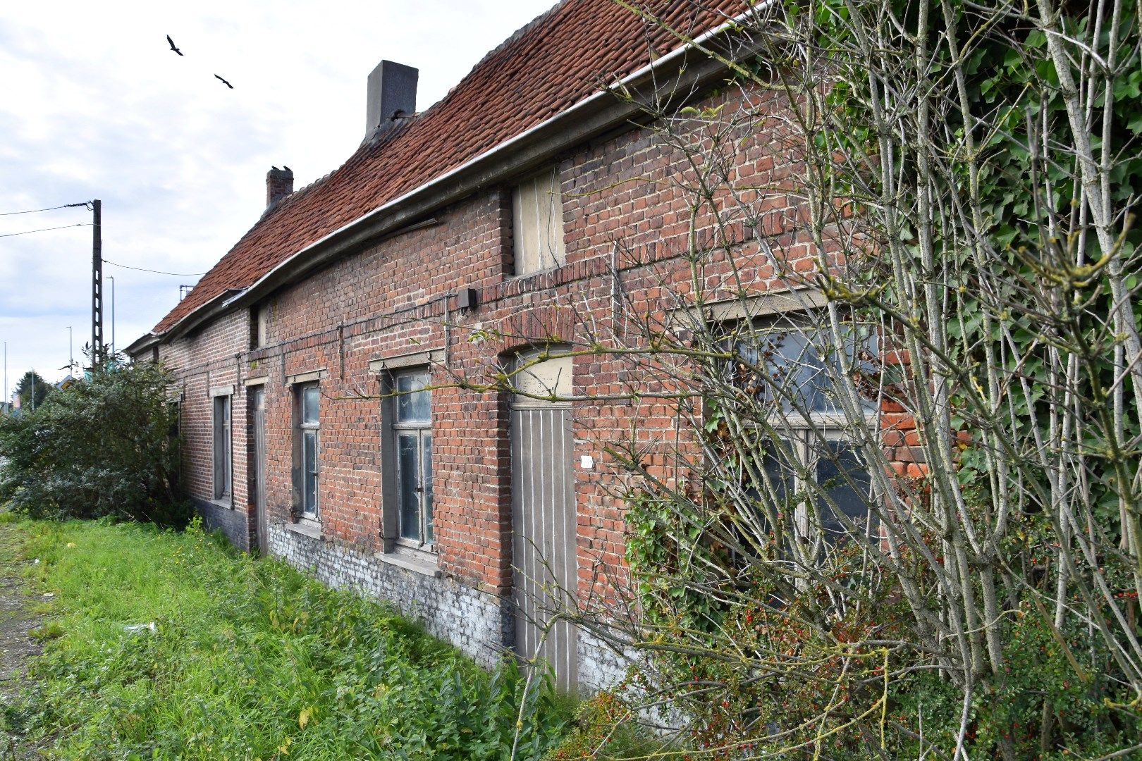 Renovatieproject van 2 karakterhuisjes te koop op West-georiënteerd perceel in Kuurne foto 2