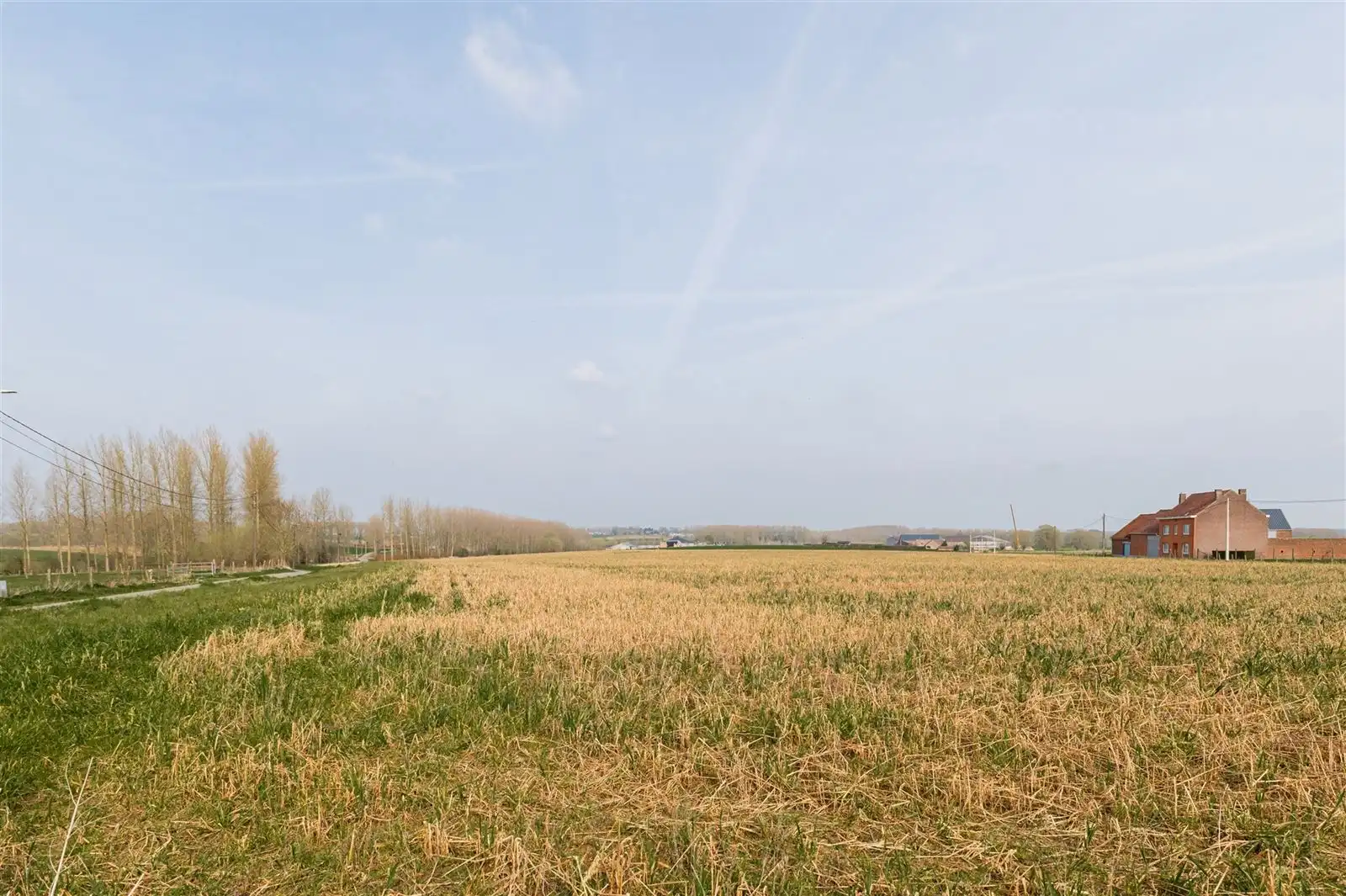 Landelijk gelegen 4-gevel villa - volledig vernieuwd foto 29