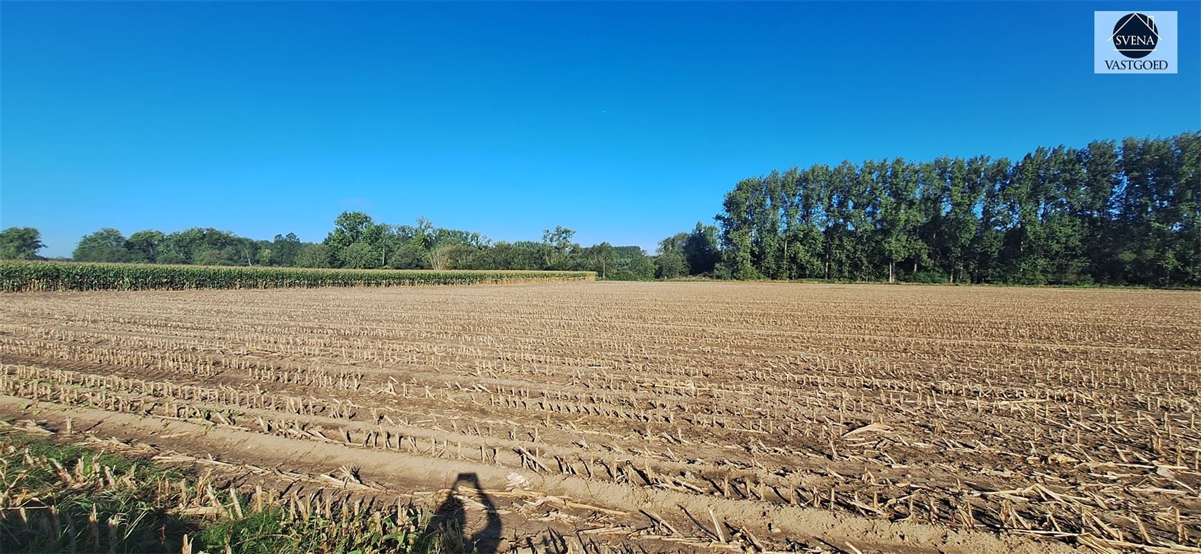 LANDBOUWGROND GELEGEN TE VIANE foto {{pictureIndex}}