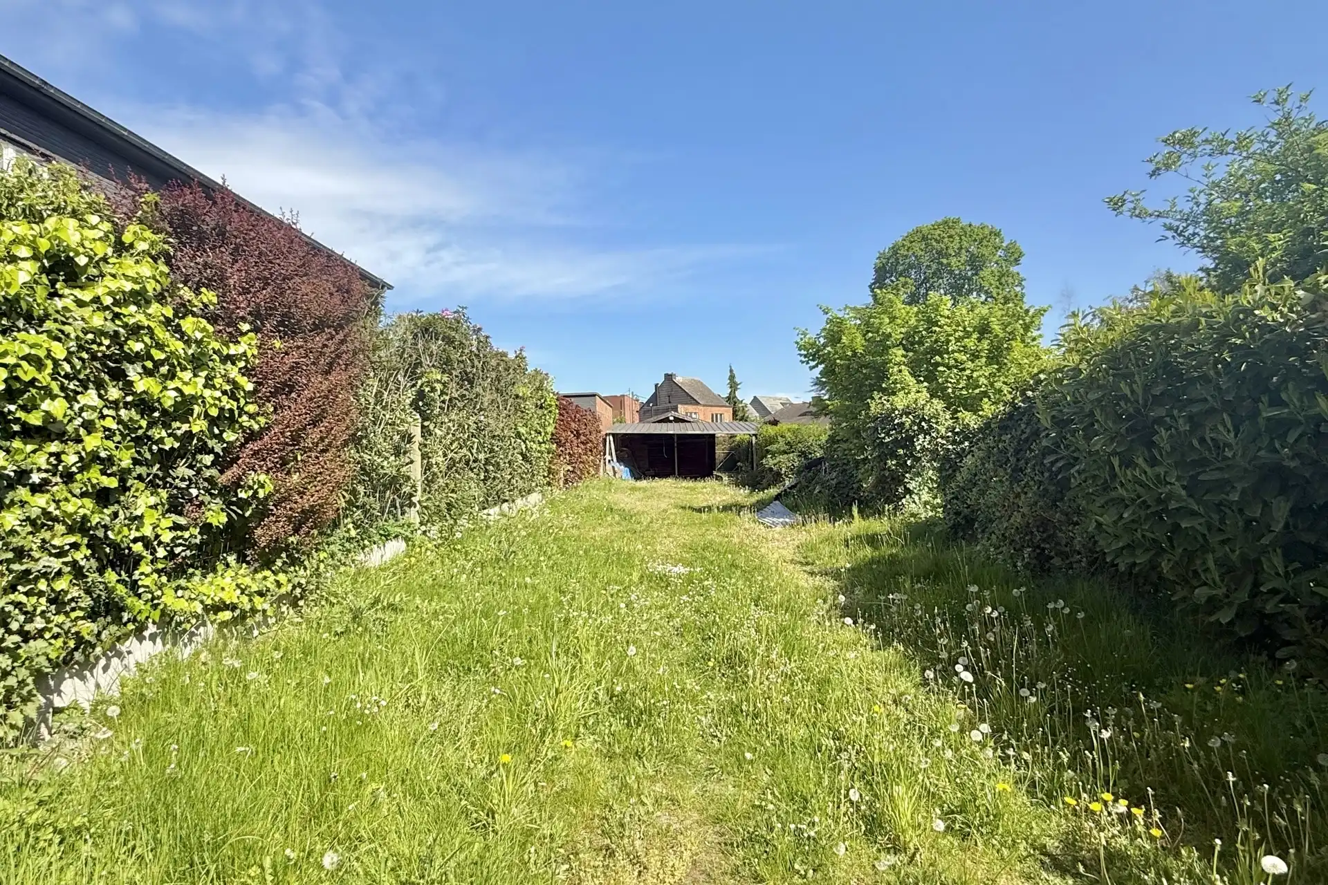 Te renoveren woning 3 slpk & tuin foto 18