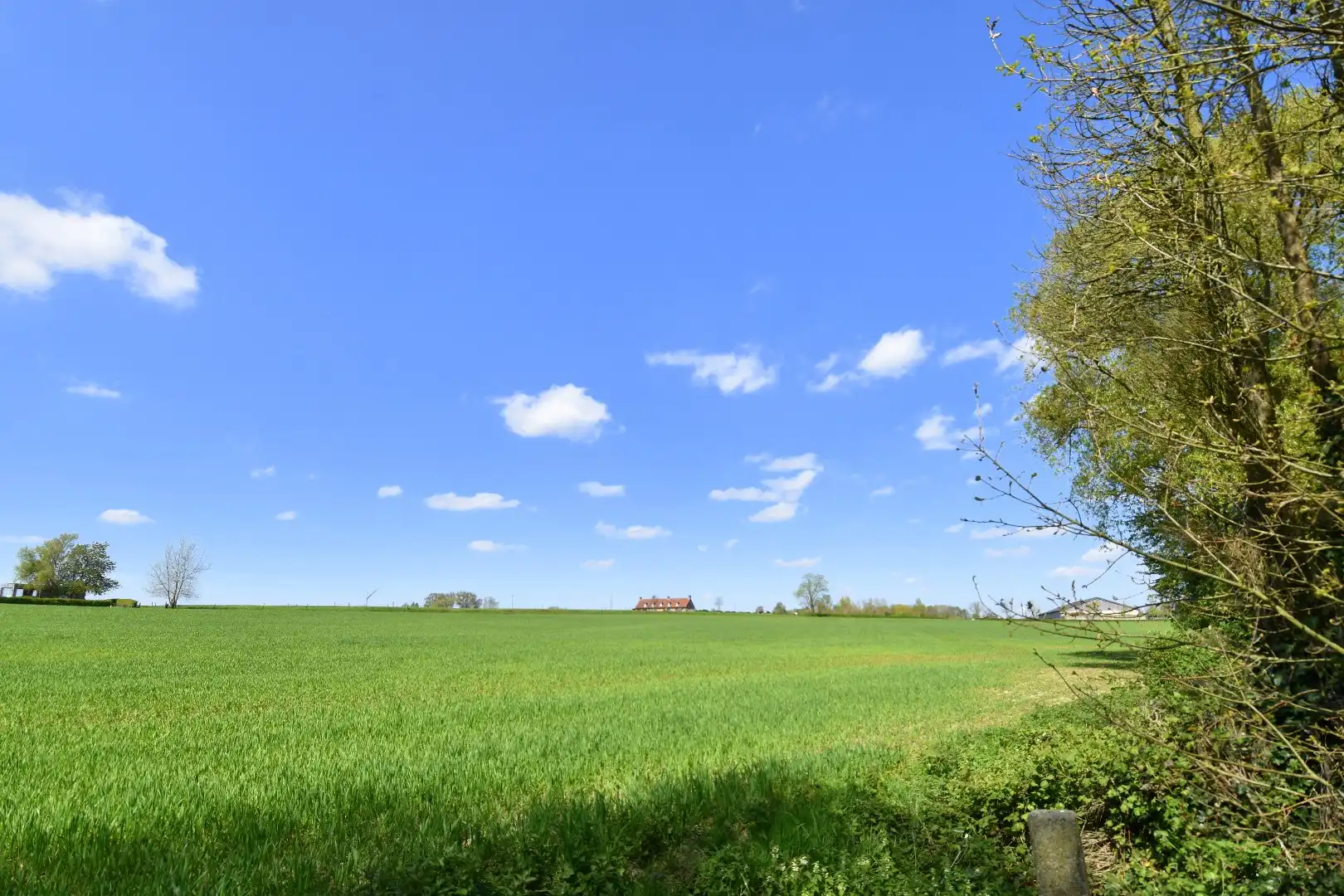 Charmant gelegen eigendom op een perceel van 2.390 m² te koop in het landelijke Rollegem foto 7