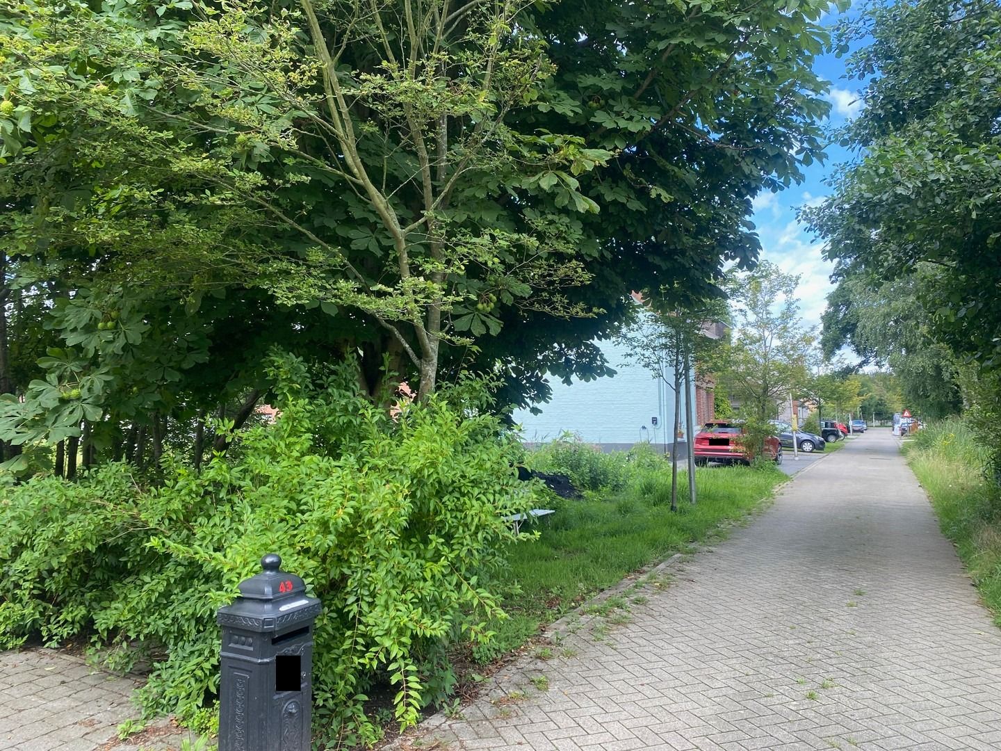 Rustig gelegen & zuid-west georiënteerde bouwgrond met uitzicht op groen. foto 3