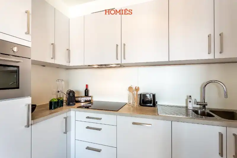 Fully furnished 1-bedroom apartment with terrace foto 4