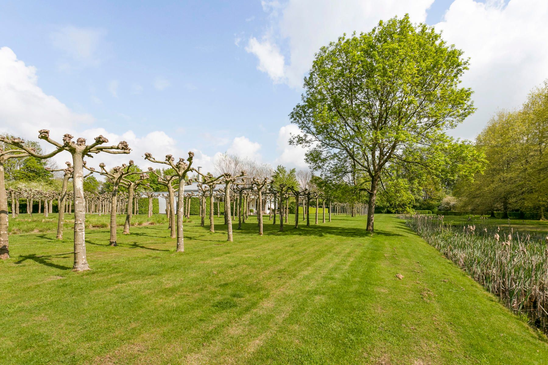 Exclusieve villa op 49.140 m² te LIER foto 8