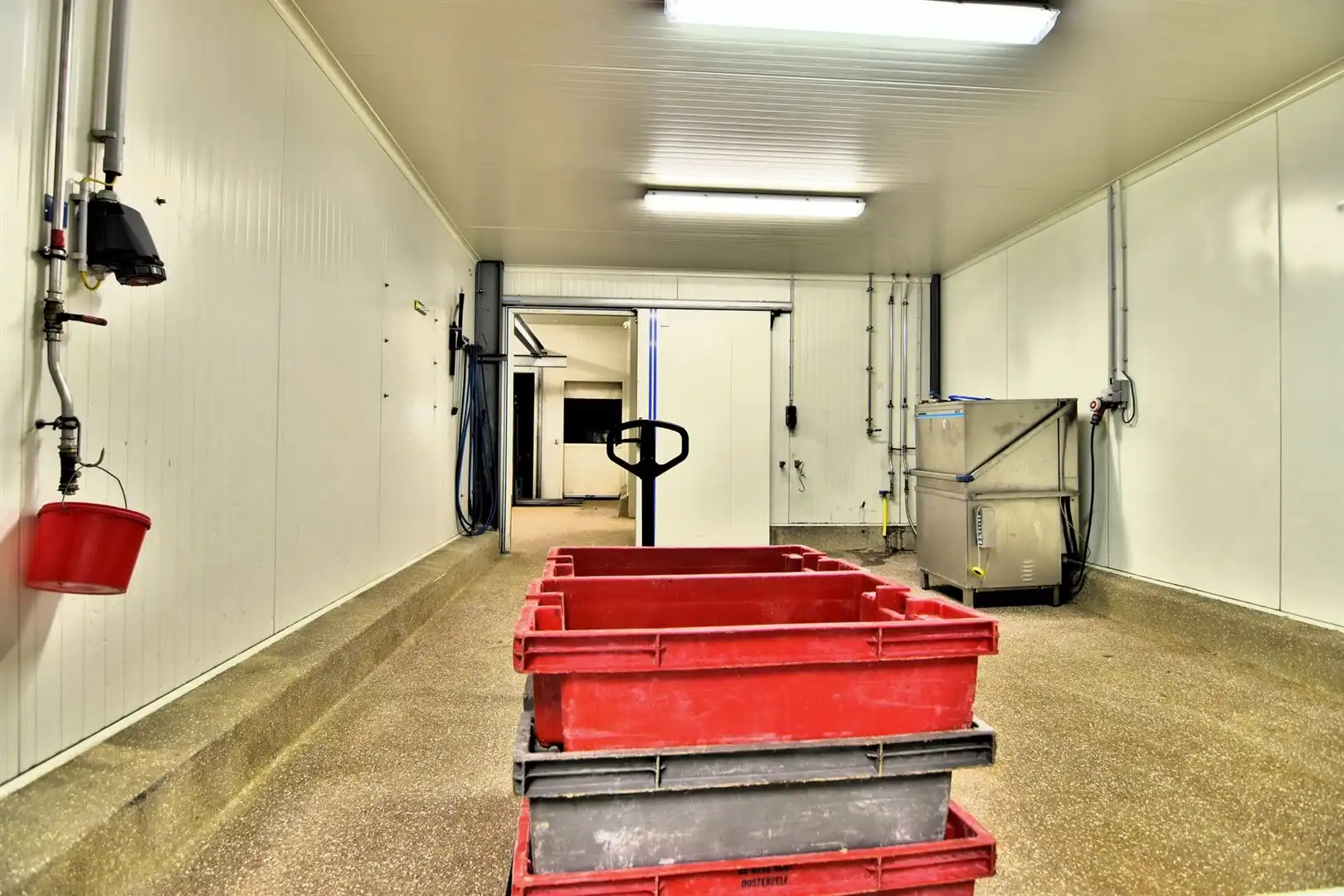 Veelzijdig industrieel pand van met laadkades, koel- en vriesruimtes foto 16