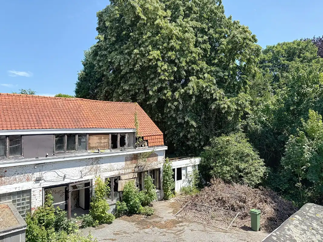 Projectgrond 3980 m² Gijzegem woonkern foto 7