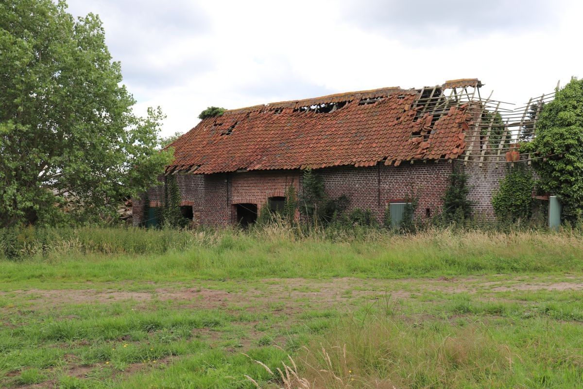 Mooi gelegen te verbouwen hoevetje te koop te Lievegem op 6.000 m² foto 8