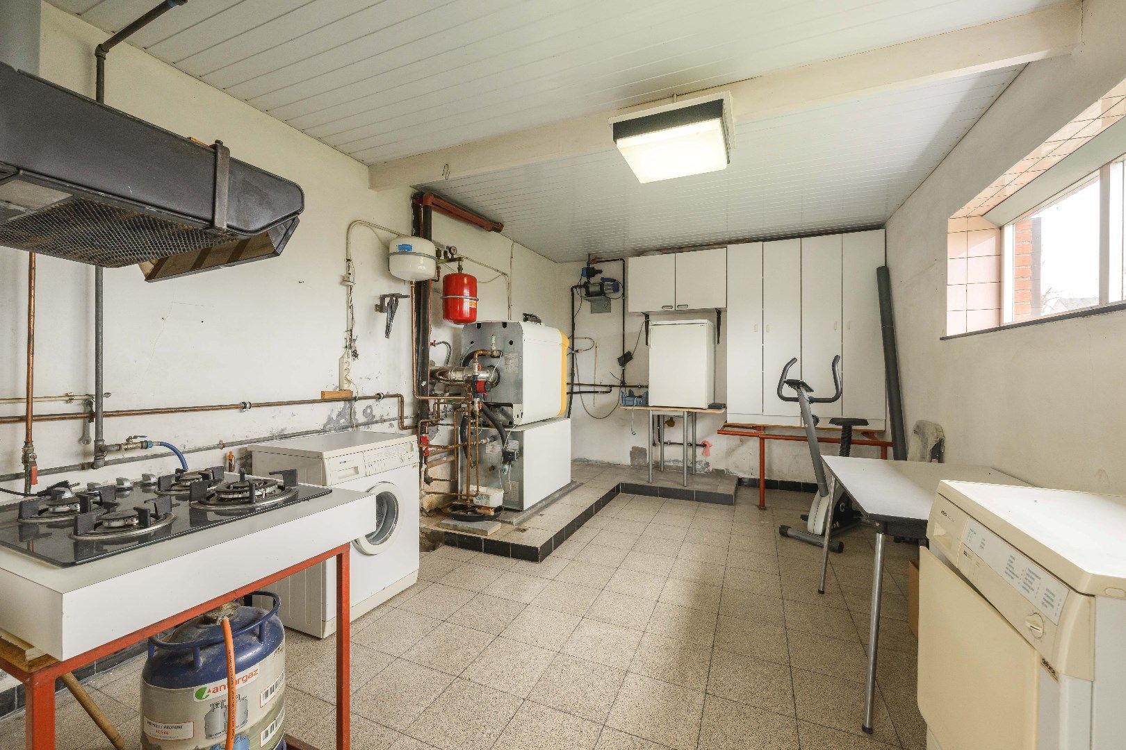 PRACHTIG GELEGEN ALLEENSTAANDE WONING OP 2.009 m²  foto 12