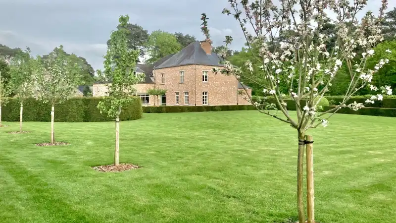 Exclusieve villa van 400m² op 36 are foto 39