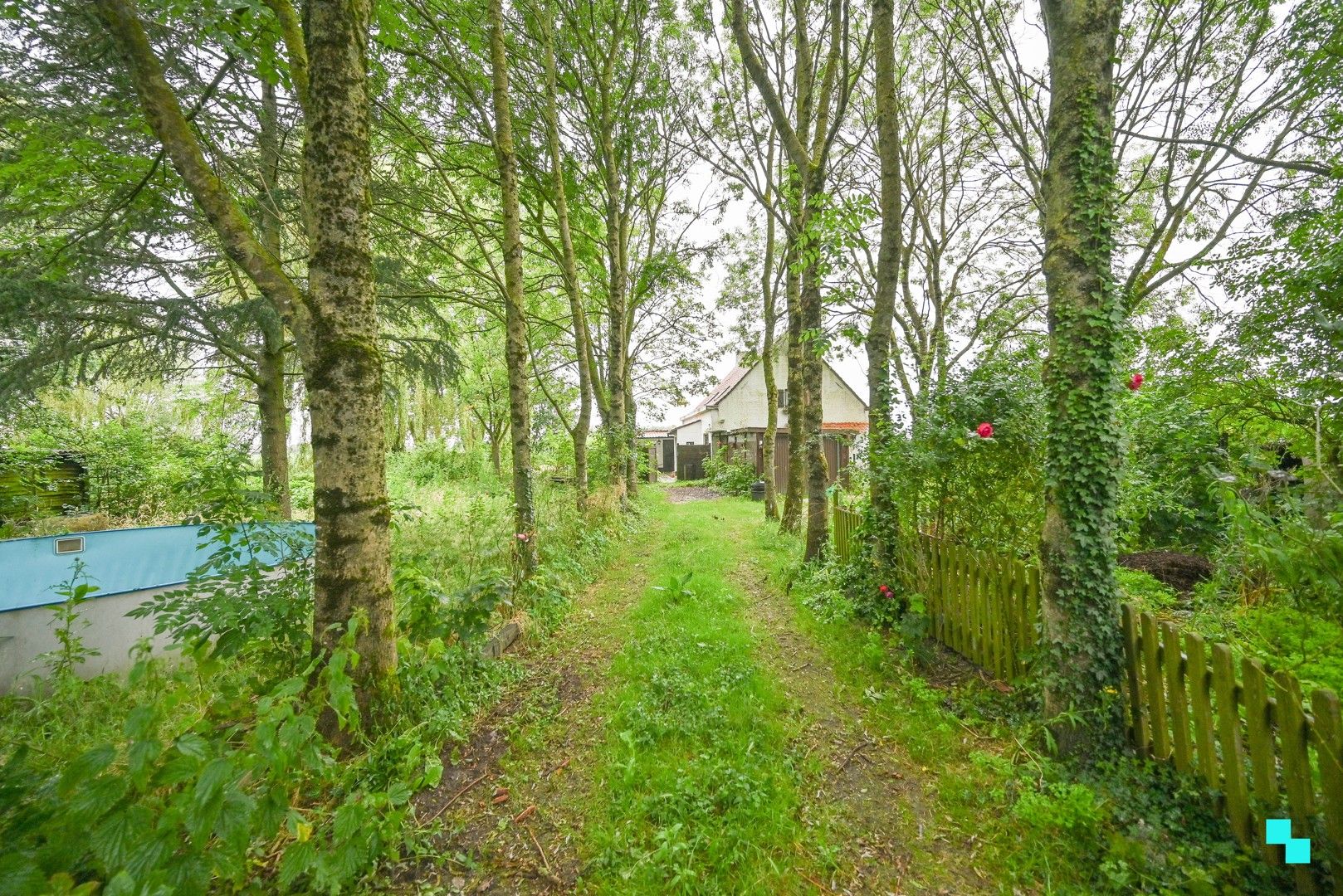 Interessante eigendom op landelijke ligging te Oostrozebeke foto 19